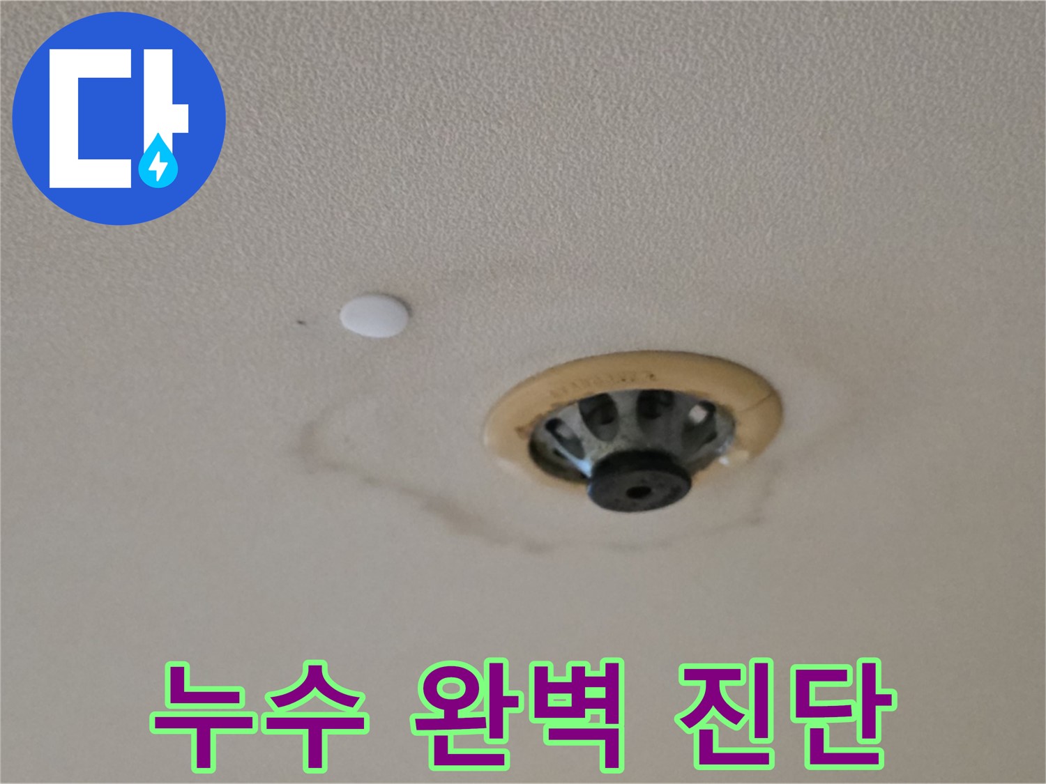 스프링클러 누수 완벽 진단 - 정밀 장비 사용