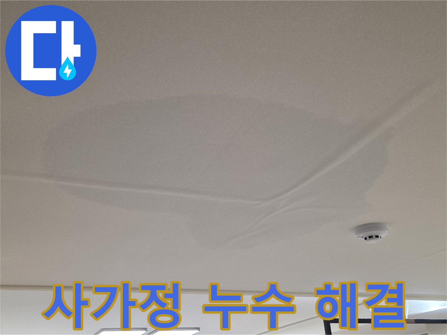 사가정 아파트 천장 누수 - 넓은 물 얼룩 - 긴급 상황 신속 해결