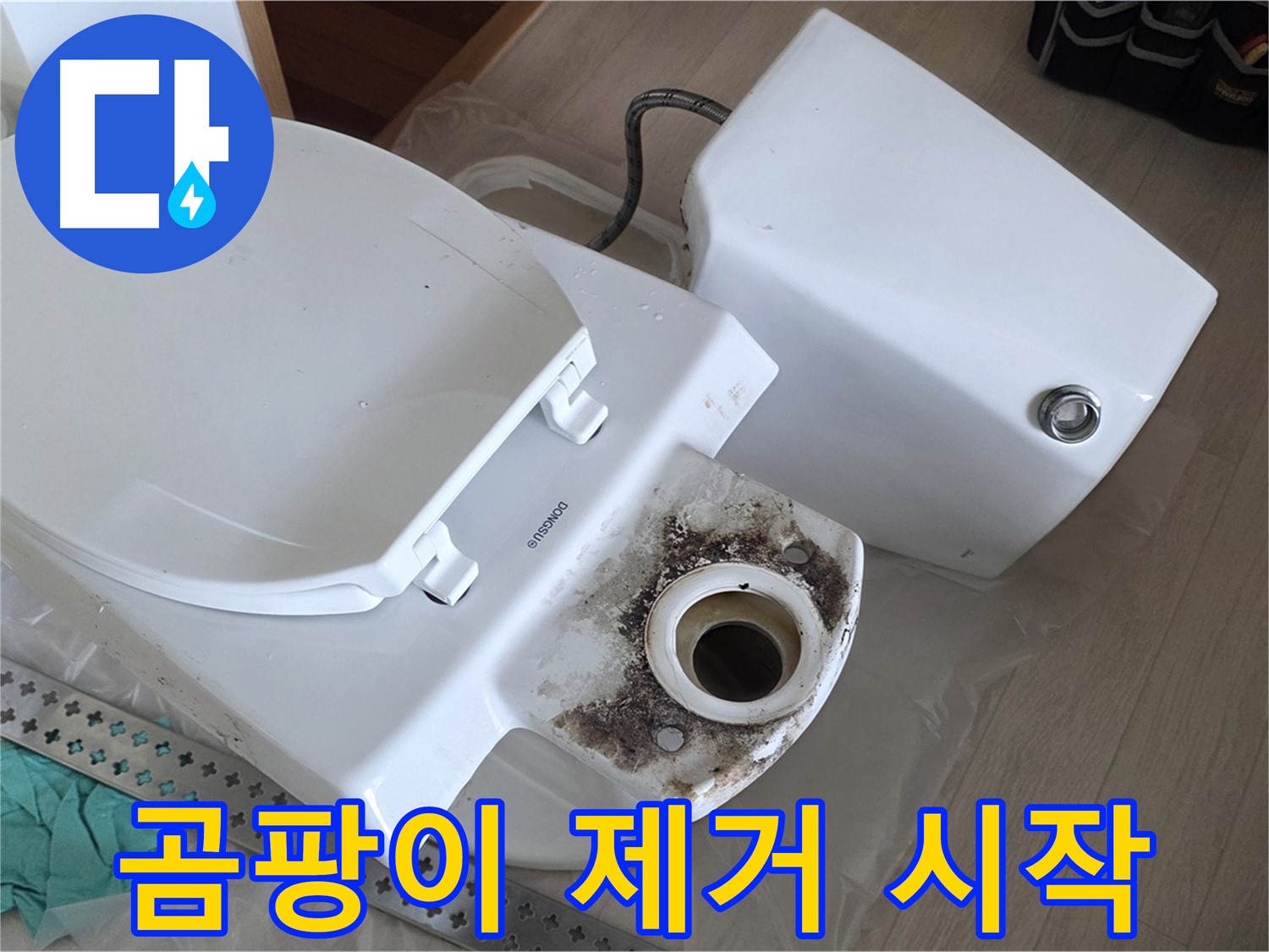 경기 포천시 일동면 운악청계로 - 곰팡이 제거를 위한 특수 약품 투입 준비 완료!