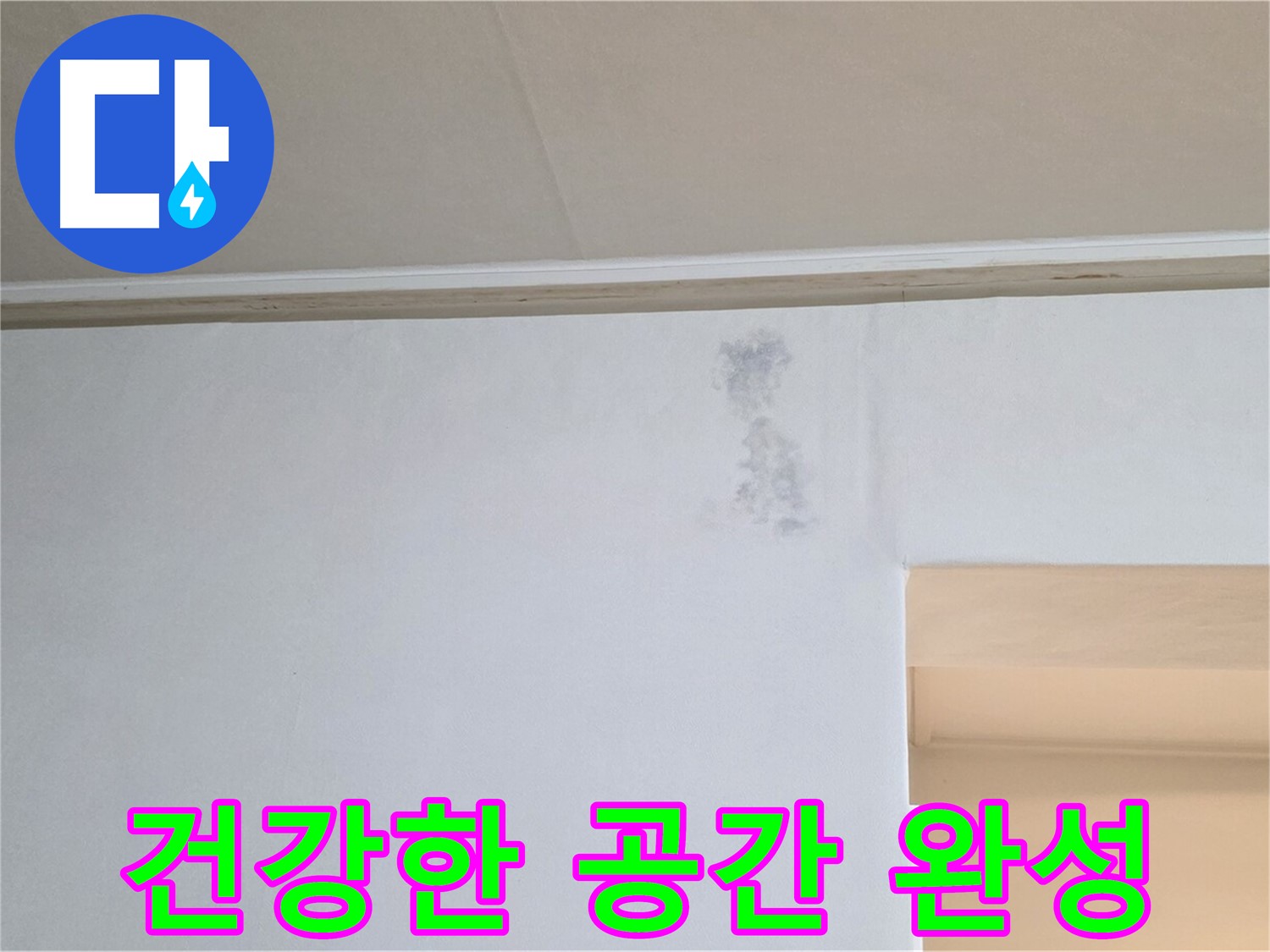 곰팡이 꽃 없는 건강한 공간 - 행복한 삶으로 초대
