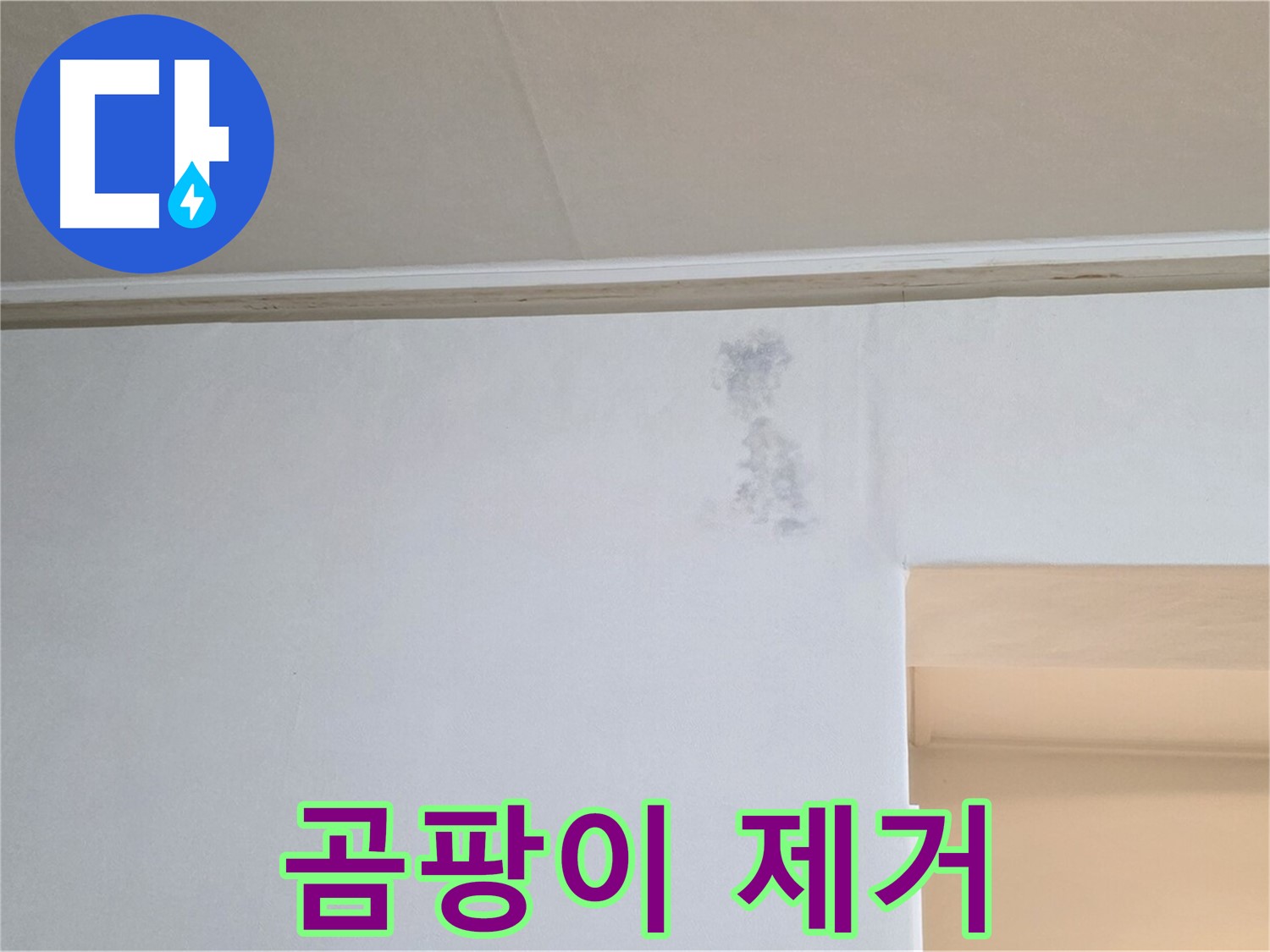 곰팡이 완벽 제거 - 쾌적한 공간 변신