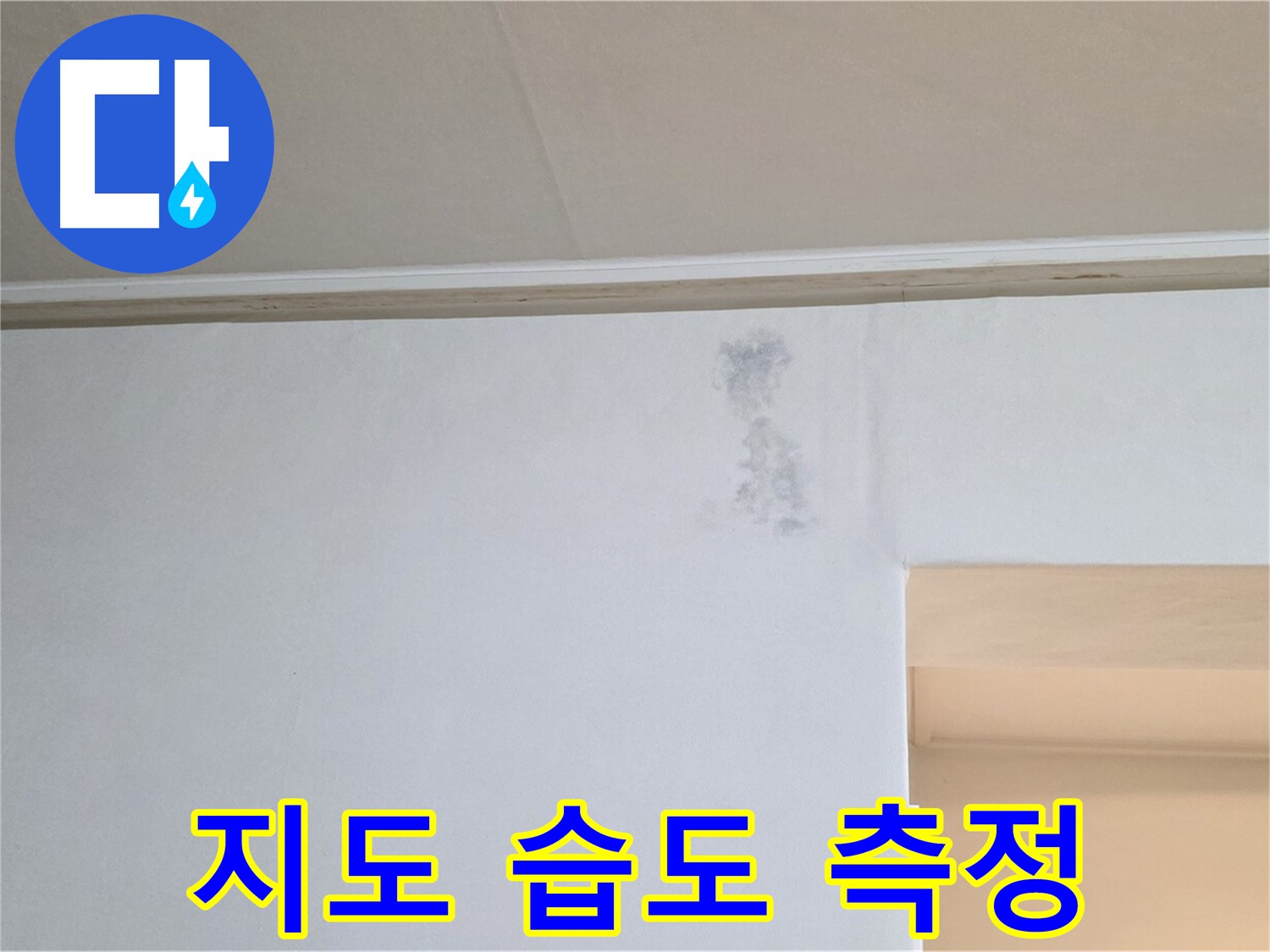 곰팡이 지도 습도 측정 - 누수 & 곰팡이 정밀 과학 수사
