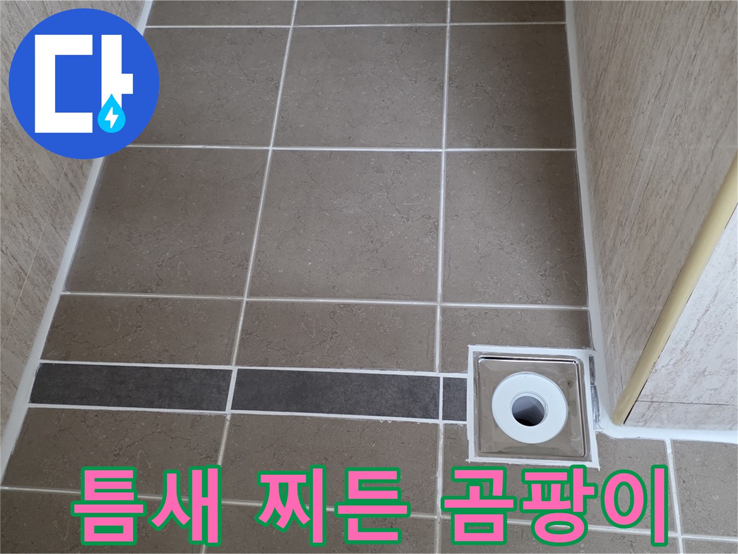 배수구 주변 타일 틈새 - 찌든 곰팡이