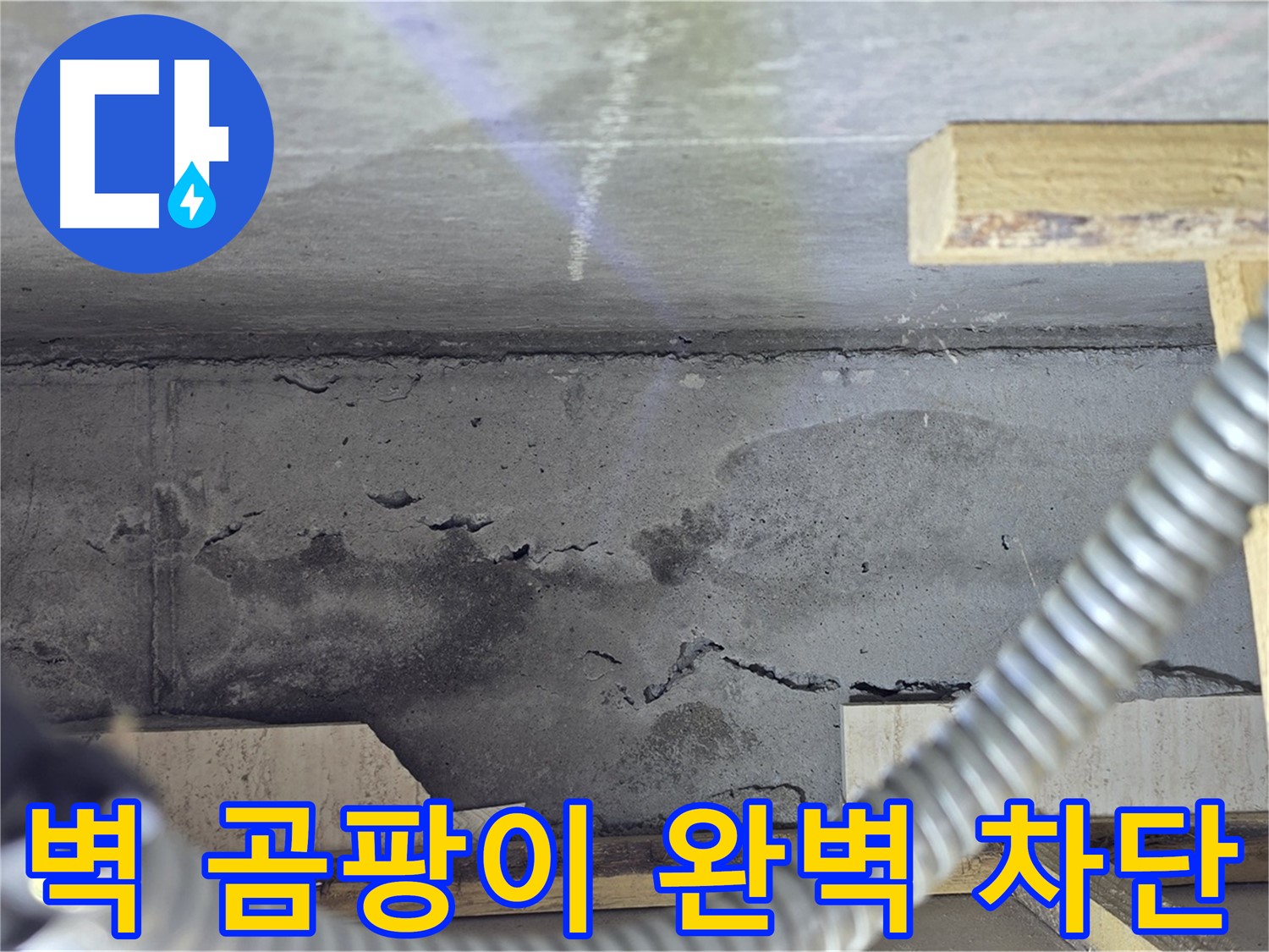 벽 곰팡이 완벽 차단 - 건강한 공간