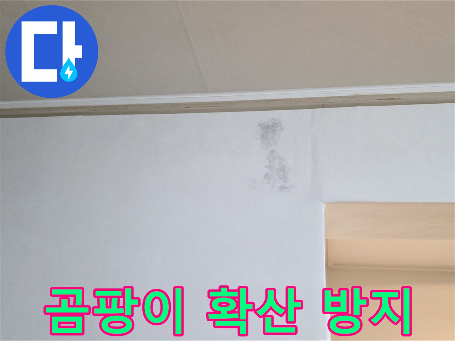 벽 모서리 곰팡이 확산 방지 - 신속 조치
