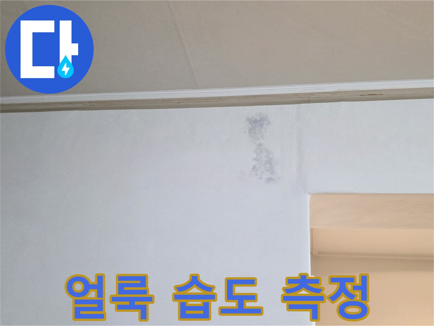 벽 얼룩 습도 측정 - 곰팡이 & 누수 정밀 검사
