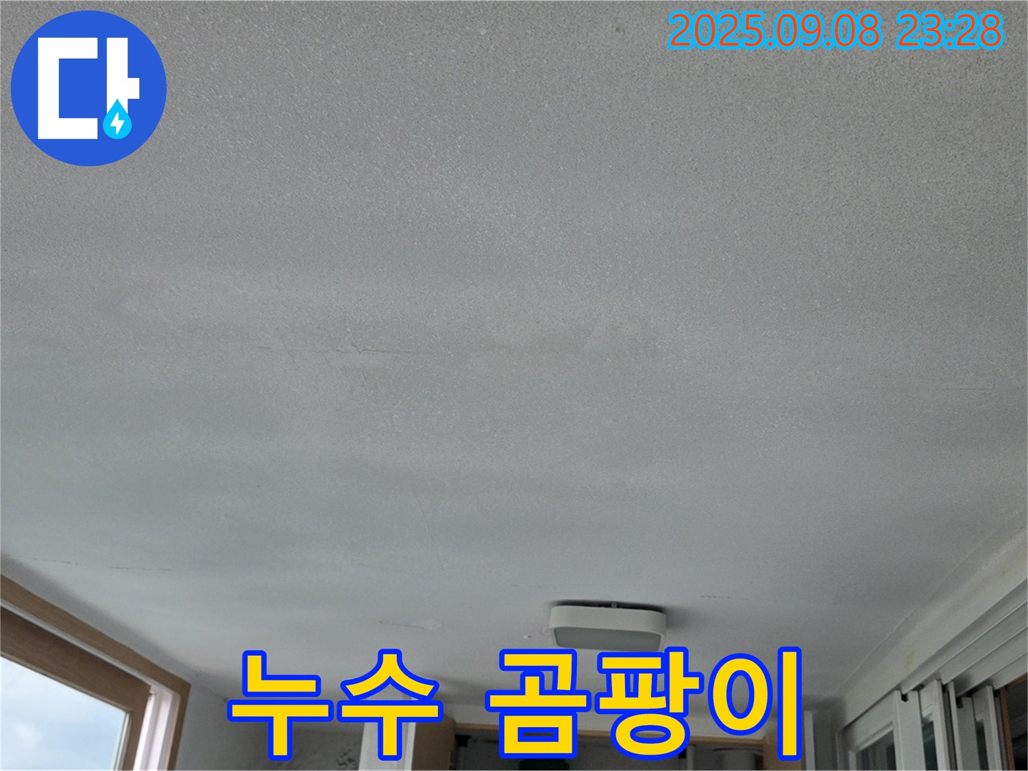 일동 기산베스트빌 아파트 누수 - 천장 곰팡이와 누수의 관계