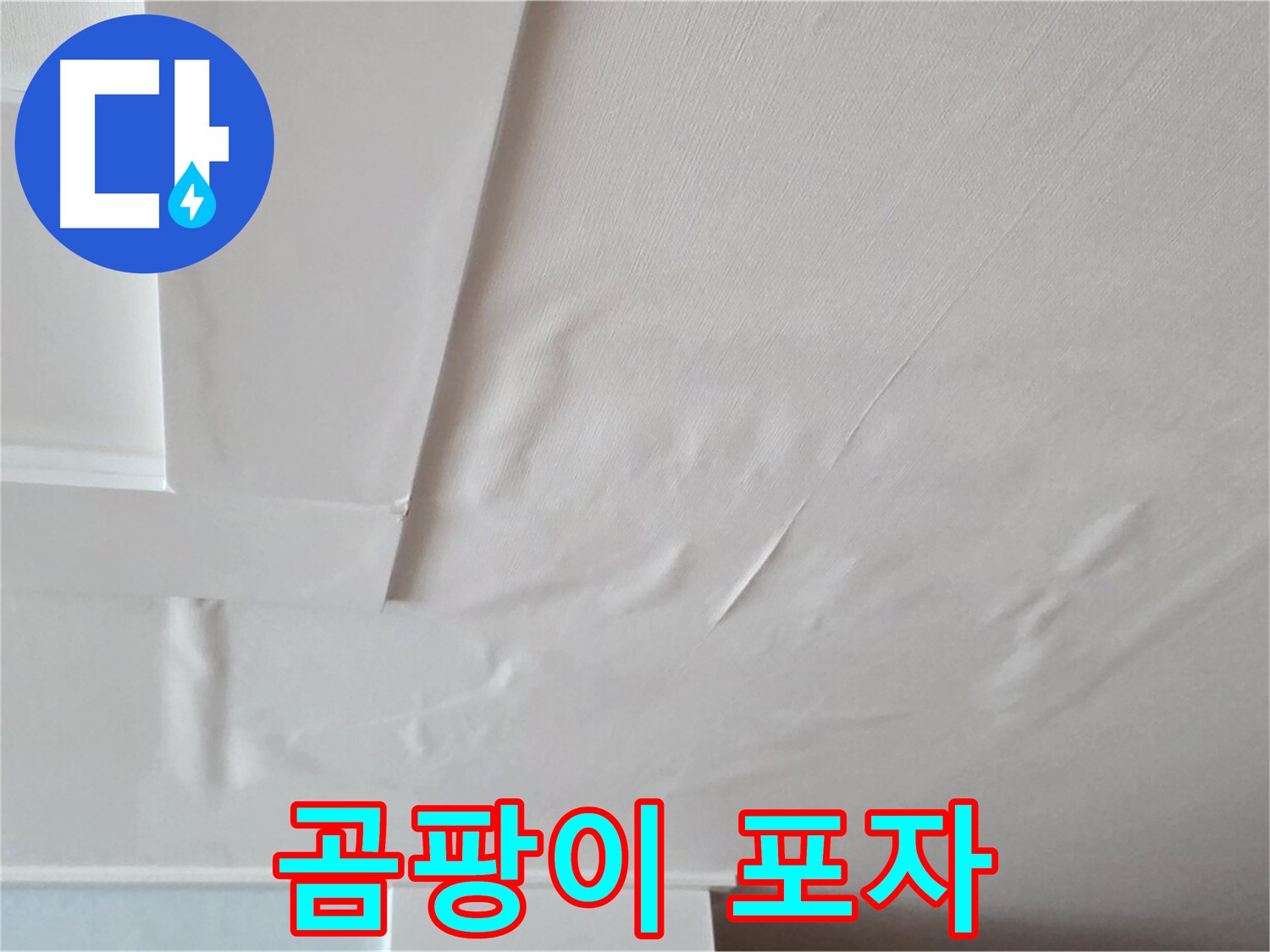 일동기산베스트빌 아파트 천장 누수 - 곰팡이 포자 - 아토피 피부염 악화