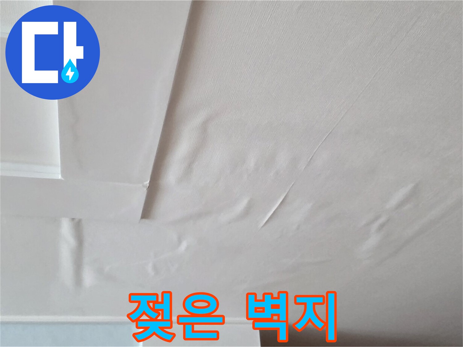 일동기산베스트빌 아파트 천장 누수 - 젖은 벽지와 곰팡이 서식 최적 조건