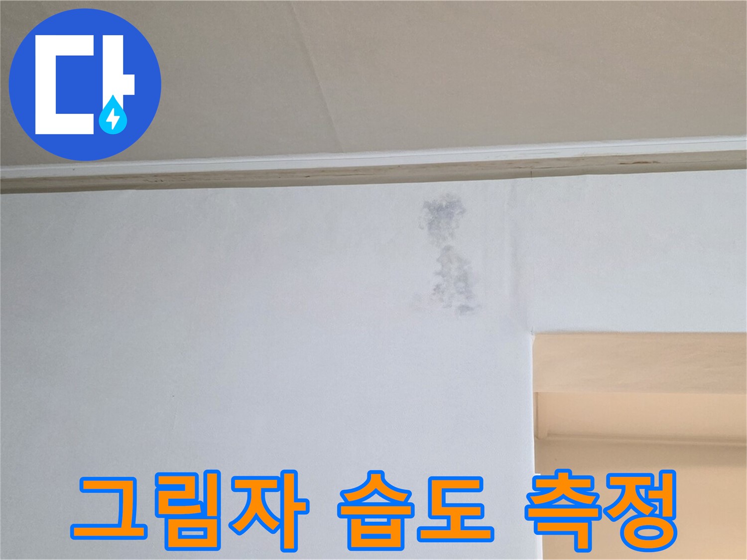 잿빛 그림자 습도 측정 - 곰팡이 & 습기 원인 정밀 분석