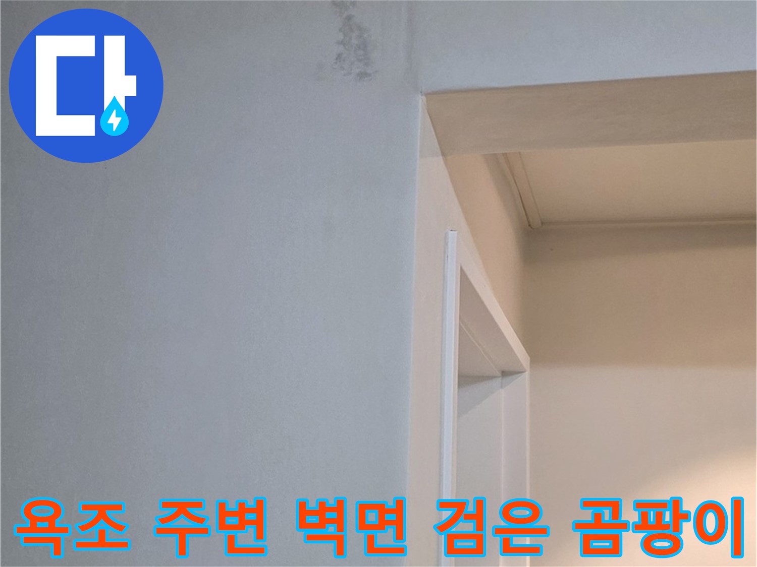 포천 일동 기산리 아파트 욕조 주변 벽면 검은 곰팡이 - 누수 해결 및 곰팡이 제거