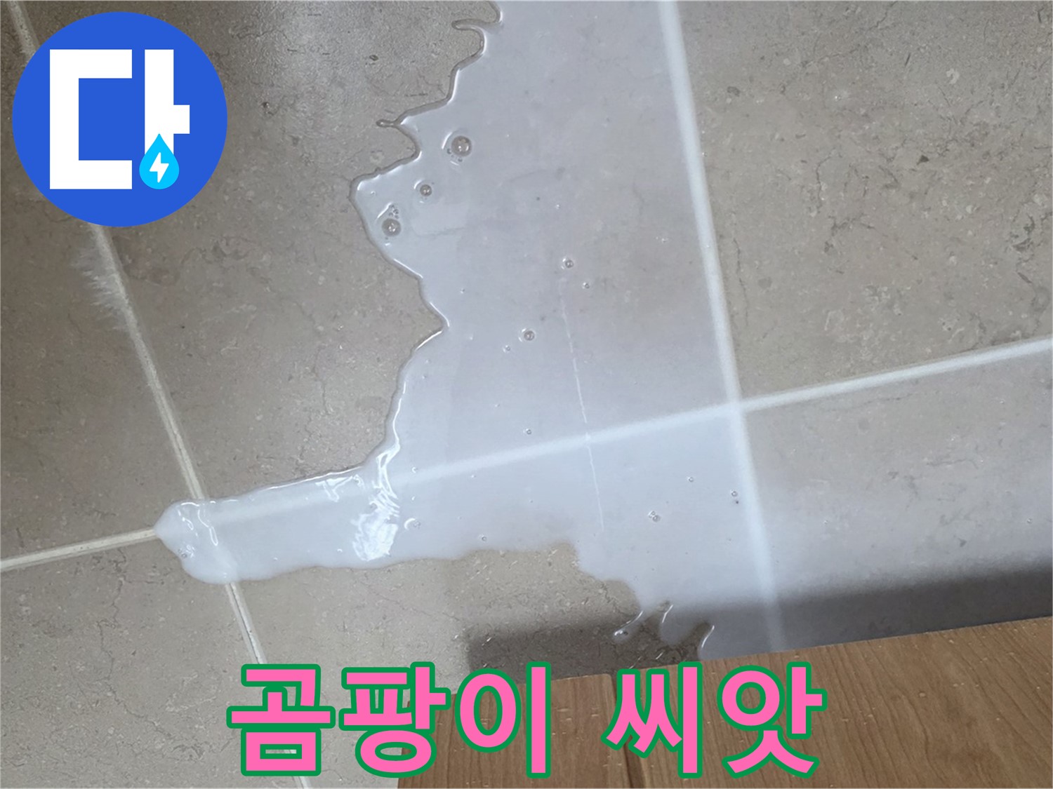 포천 일동 기산베스트빌 아파트 - 씽크대 누수로 인해 곰팡이가 번식하기 시작한 모습 - 곰팡이 씨앗 뿌리기 전에 차단