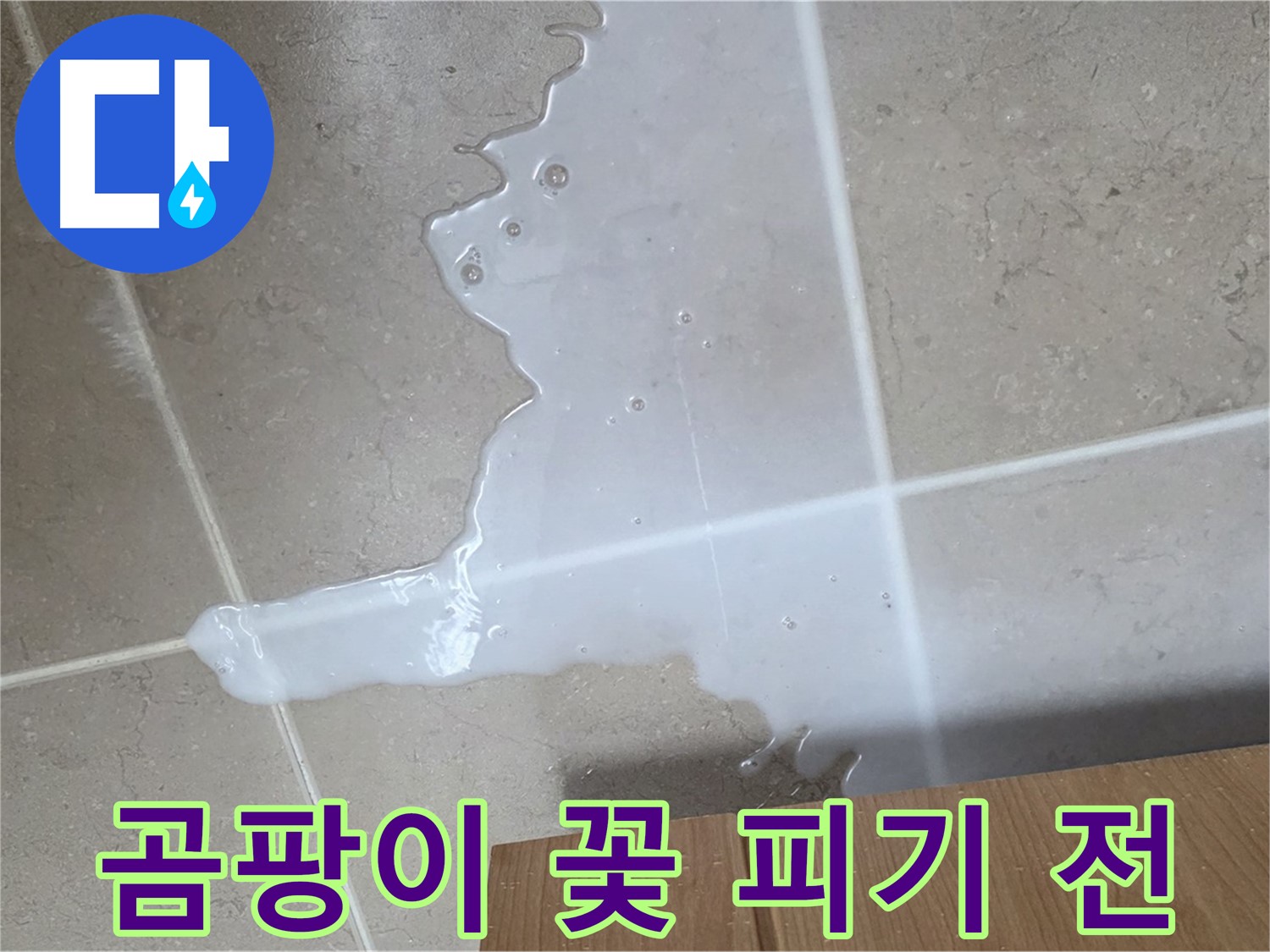 포천 일동 기산베스트빌 아파트 - 씽크대 누수로 인해 곰팡이가 피기 시작한 모습 - 곰팡이 꽃 피기 전에 긴급 조치!