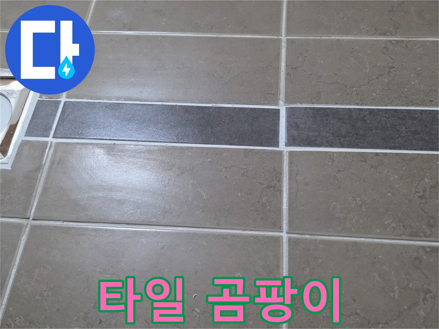 포천 일동 기산베스트빌 - 욕실 배수구 주변 타일 틈새 곰팡이 발생 상태 확인