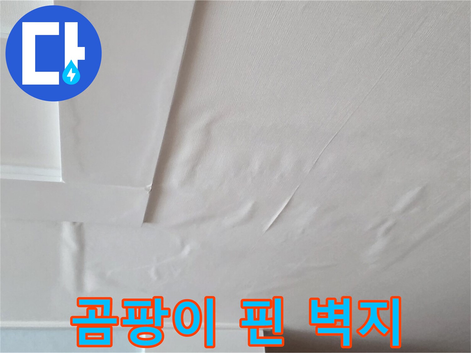 포천 일동 아파트 천장 누수 - 곰팡이 핀 벽지 - 두드러기 유발