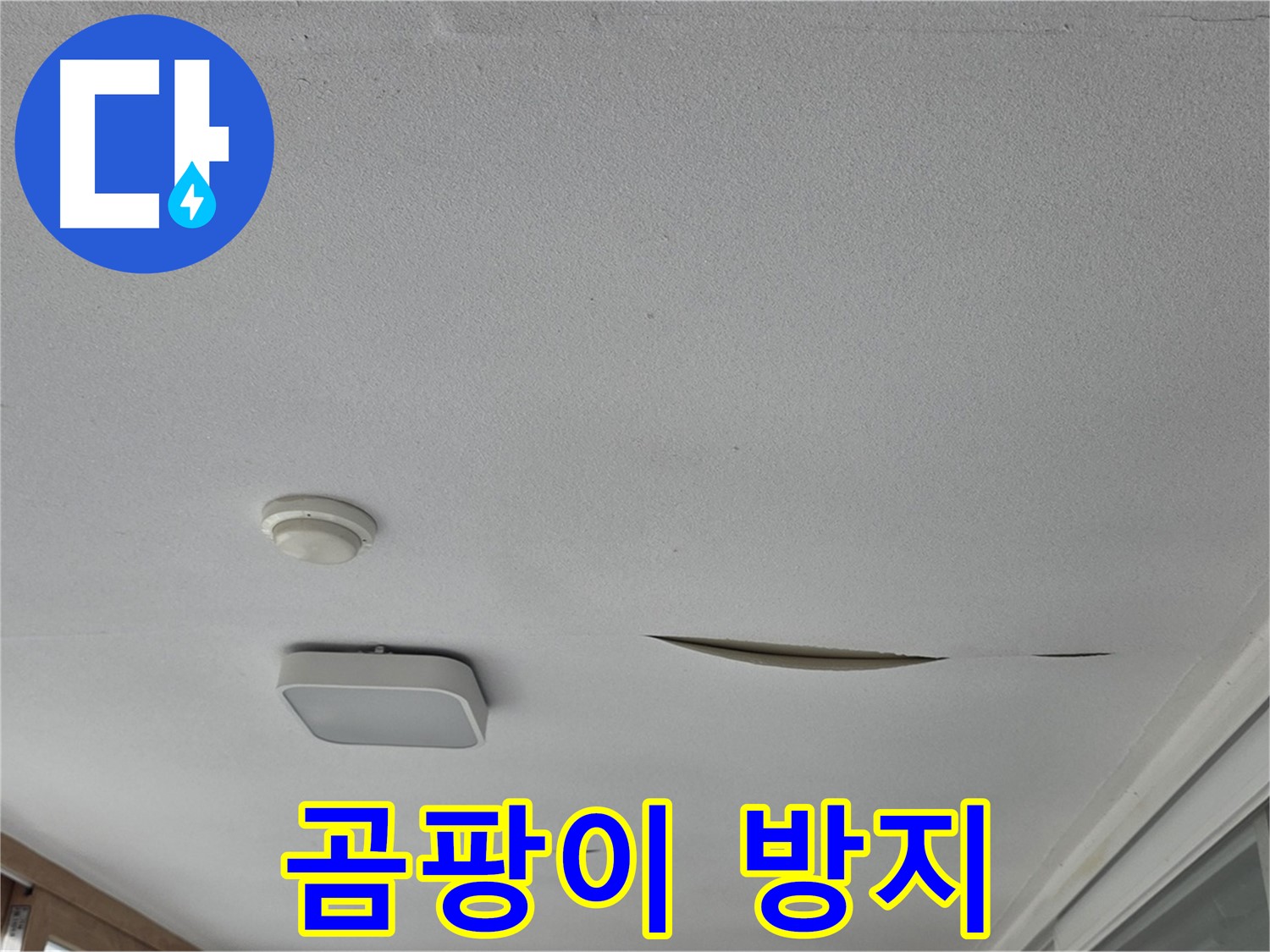 포천 일동 아파트 천장 누수 - 젖은 석고보드 곰팡이 확산 방지 및 제거