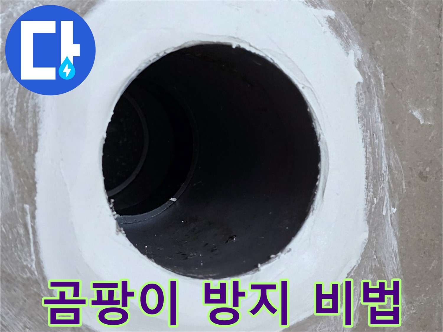 포천 일동 욕실 배수구 - 곰팡이 방지, 깔끔한 욕실 유지