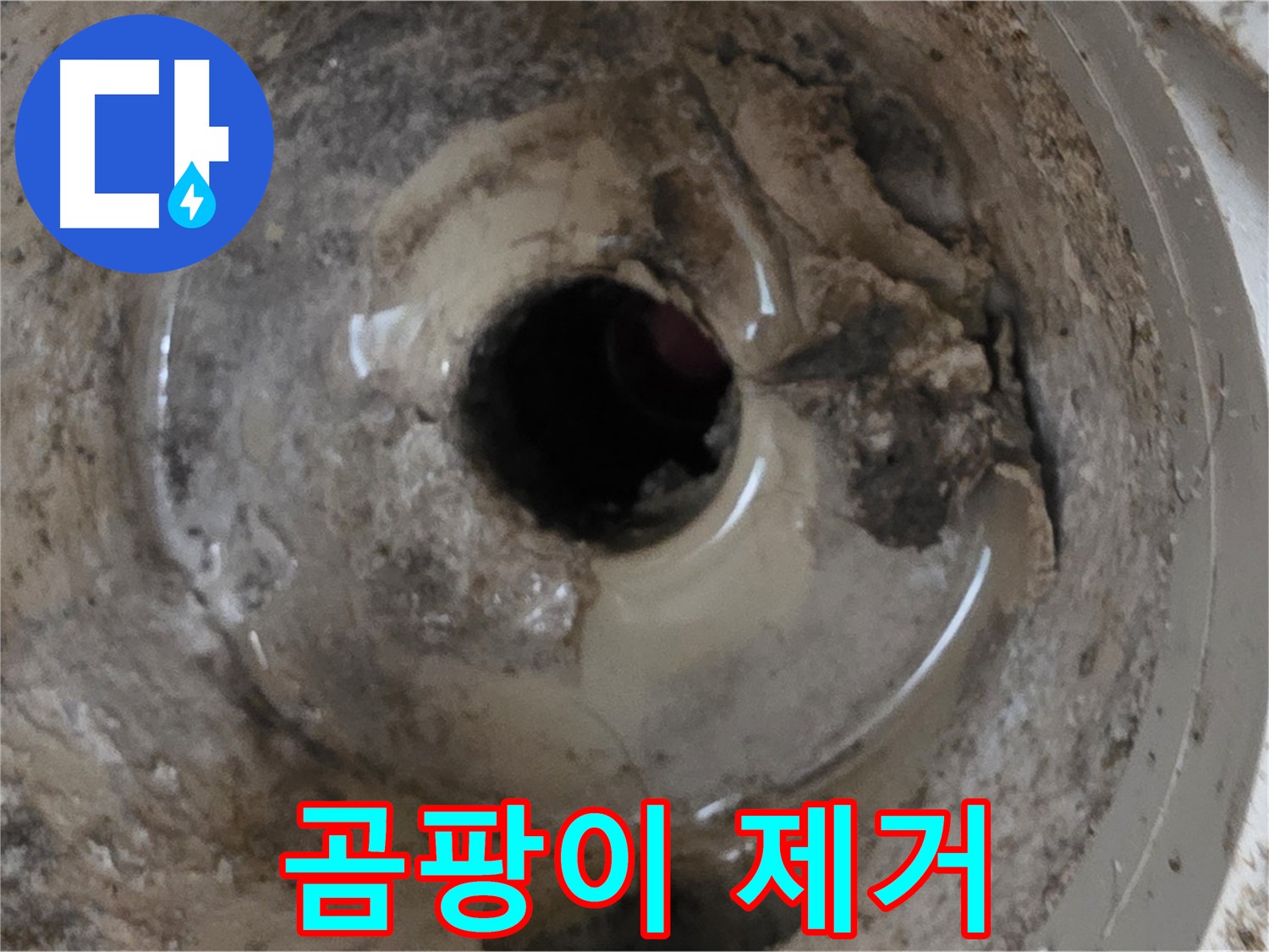 포천 일동 운악청계로 - 누수 때문에 곰팡이가 심하게 생겼다면, 전문가의 도움을 받으세요!