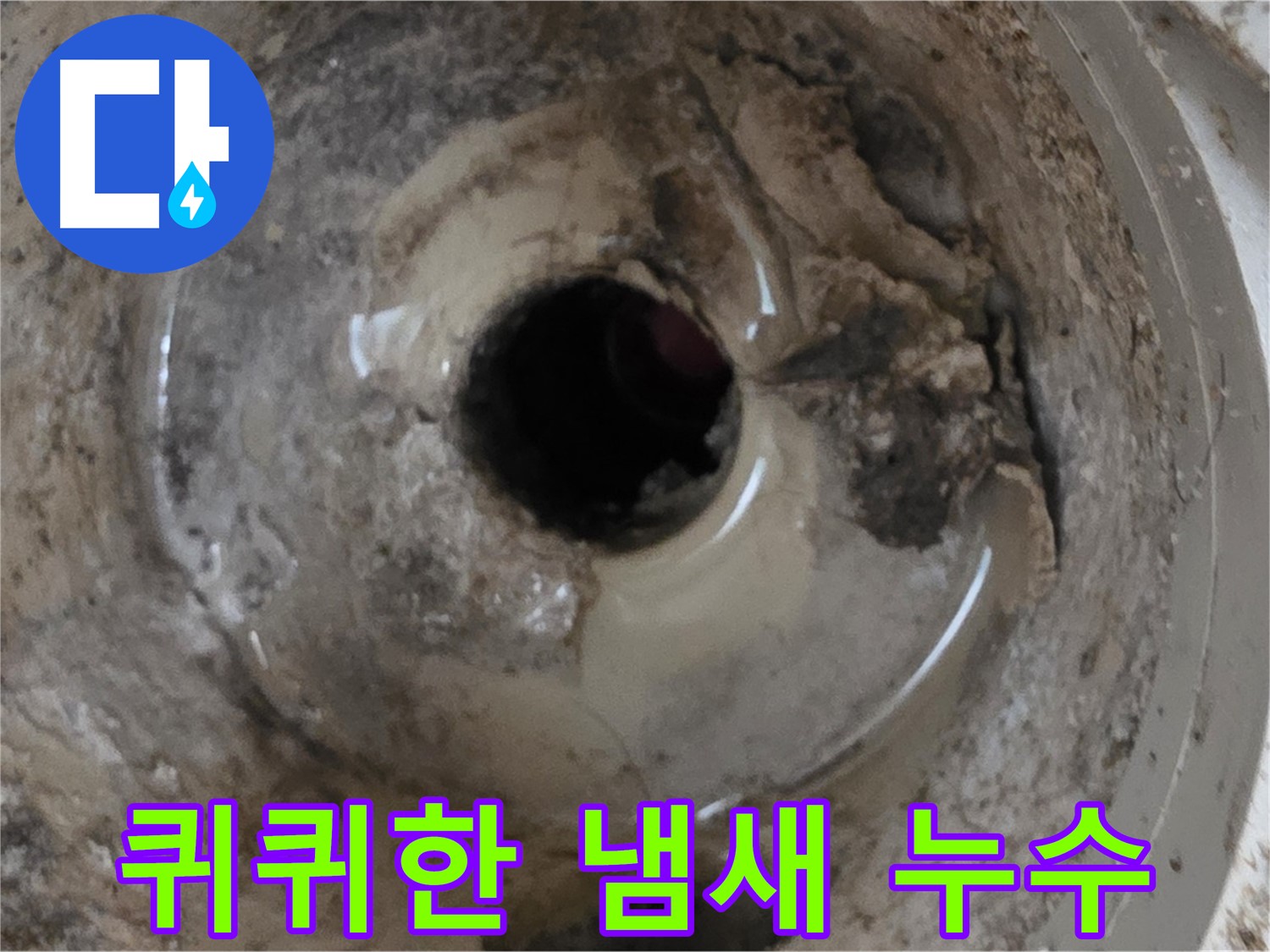 포천 일동 운악청계로 - 누수와 함께 퀴퀴한 냄새, 복합적인 원인 해결!