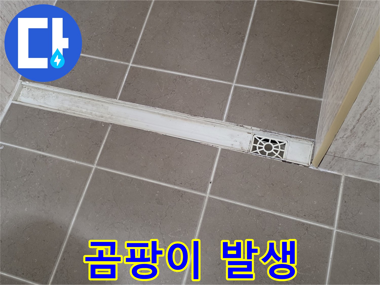 포천 일동면 기산리 욕실 - 트렌치 덮개 청소 불량으로 인한 곰팡이 발생