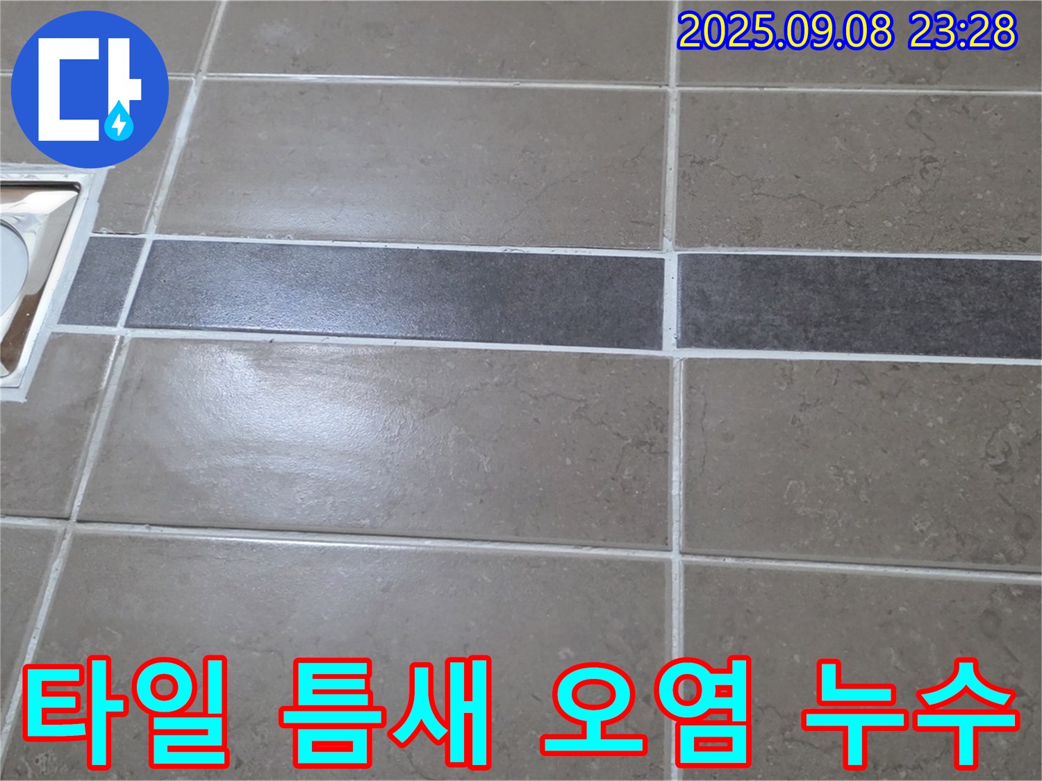 포천 일동면 - 욕실 배수구 주변 타일 틈새 오염, 깨끗하게 청소 후 누수 해결!