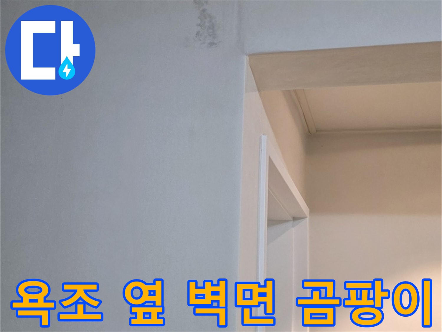 포천시 일동면 기산리 아파트 욕조 옆 벽면 곰팡이 - 누수 걱정 해결