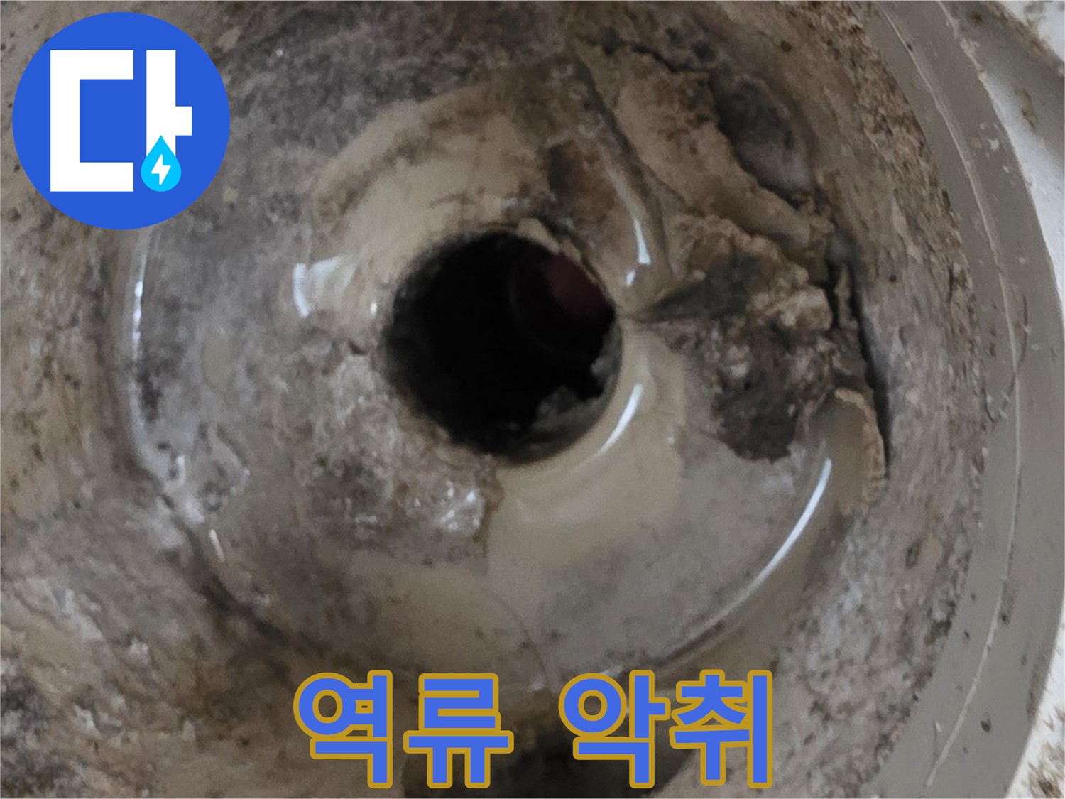 포천시 일동면 기산베스트빌 아파트 - 베란다 배수구 물 역류, 악취 발생! 긴급 점검!