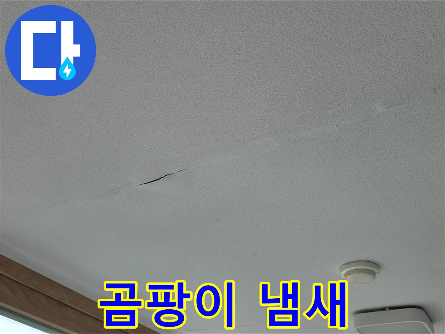 포천시 일동면 아파트 - 불쾌한 곰팡이 냄새