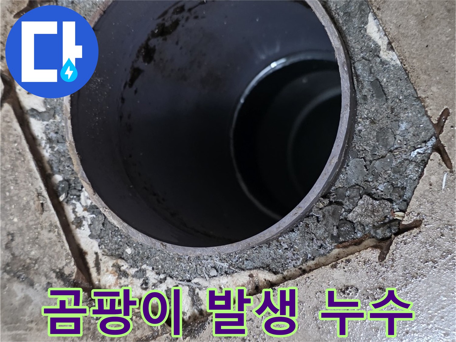 포천시 일동면 아파트 욕조 배수구 주변 곰팡이 발생 - 누수 진단