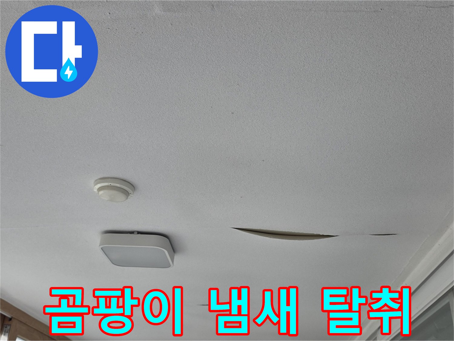 포천시 일동면 아파트 천장 누수 - 석고보드 곰팡이 냄새 완벽 탈취
