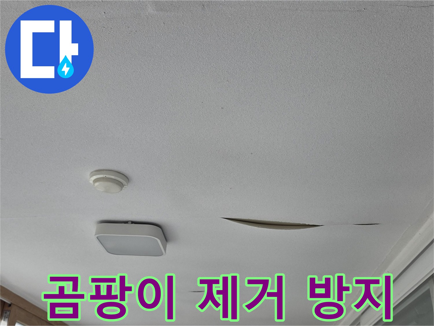 포천시 일동면 아파트 천장 누수 - 석고보드 곰팡이 제거 후 재발 방지 시공