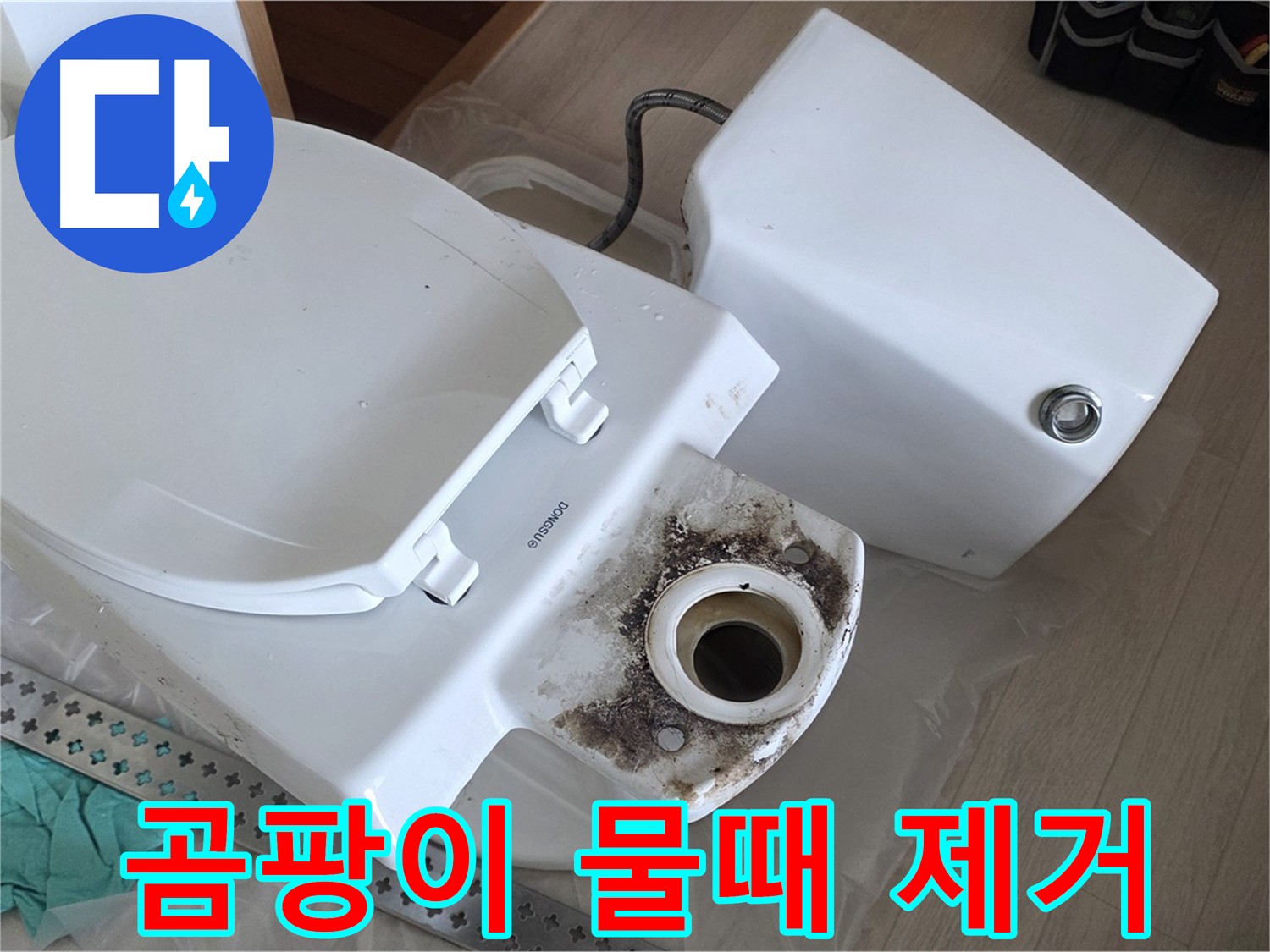 포천시 일동면 운악청계로 아파트 변기 누수, 곰팡이 및 물때 제거 작업 진행 중
