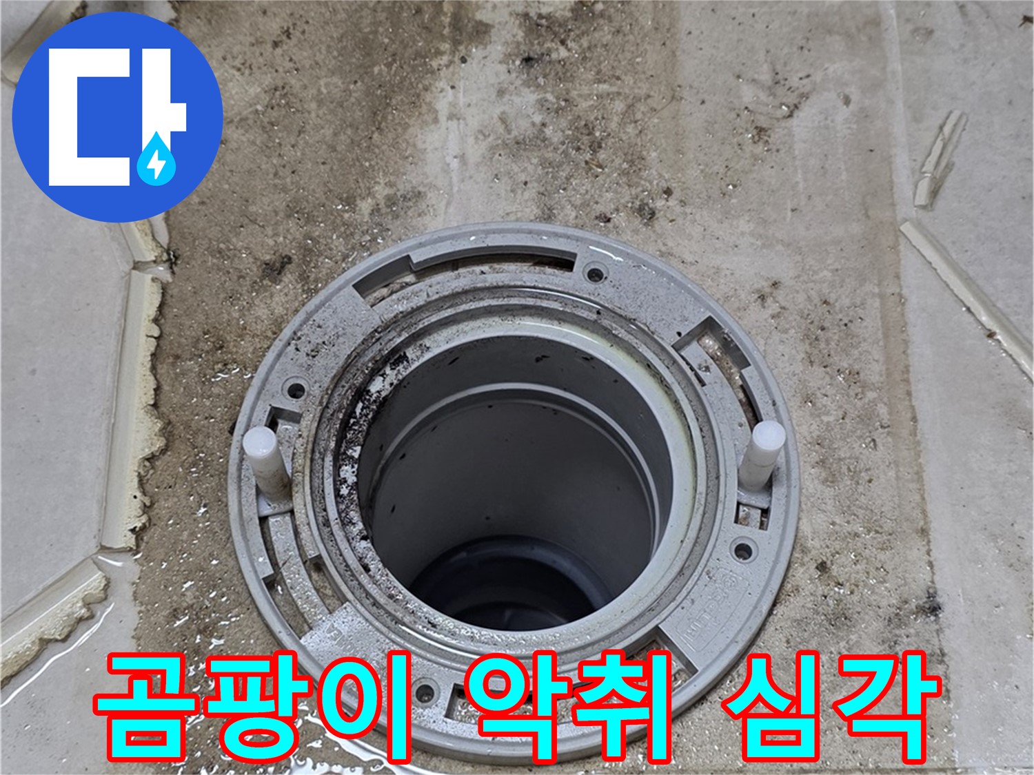변기 뒤 벽면 - 누수 흔적과 함께 곰팡이와 악취가 심각하게 확산되고 있습니다.