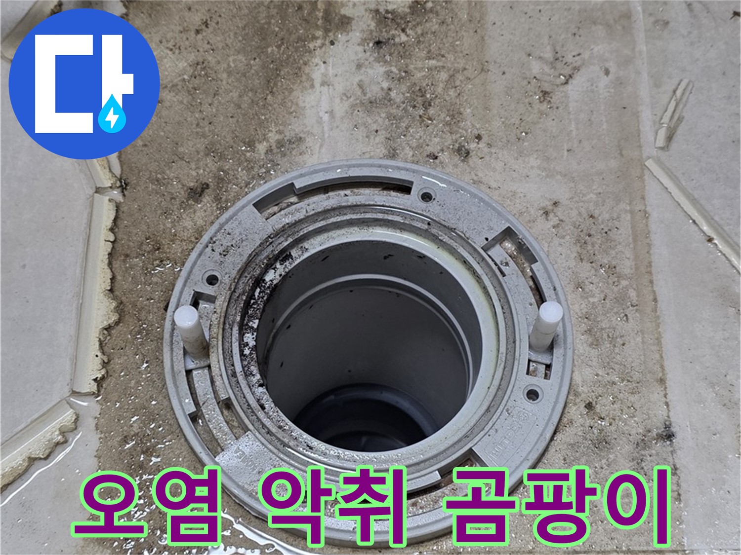 변기 플랜지 주변 심각한 오염 - 누수 장기화로 악취와 곰팡이가 함께 확산되고 있습니다.