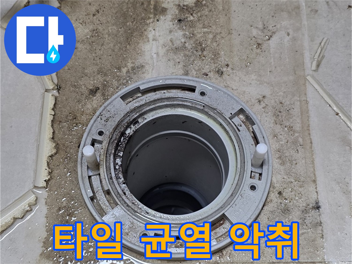변기 플랜지 주변 타일 틈새 - 오염과 함께 균열이 심화되고 악취까지 발생하고 있습니다.