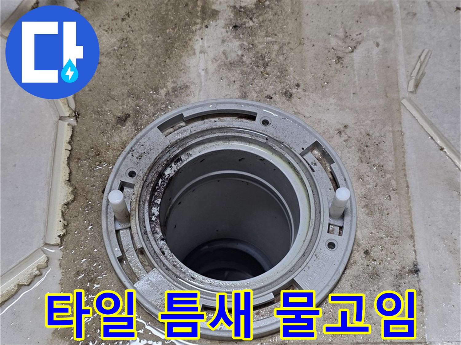 변기 플랜지 주변 타일 틈새 - 오염과 함께 물이 고여 있습니다.
