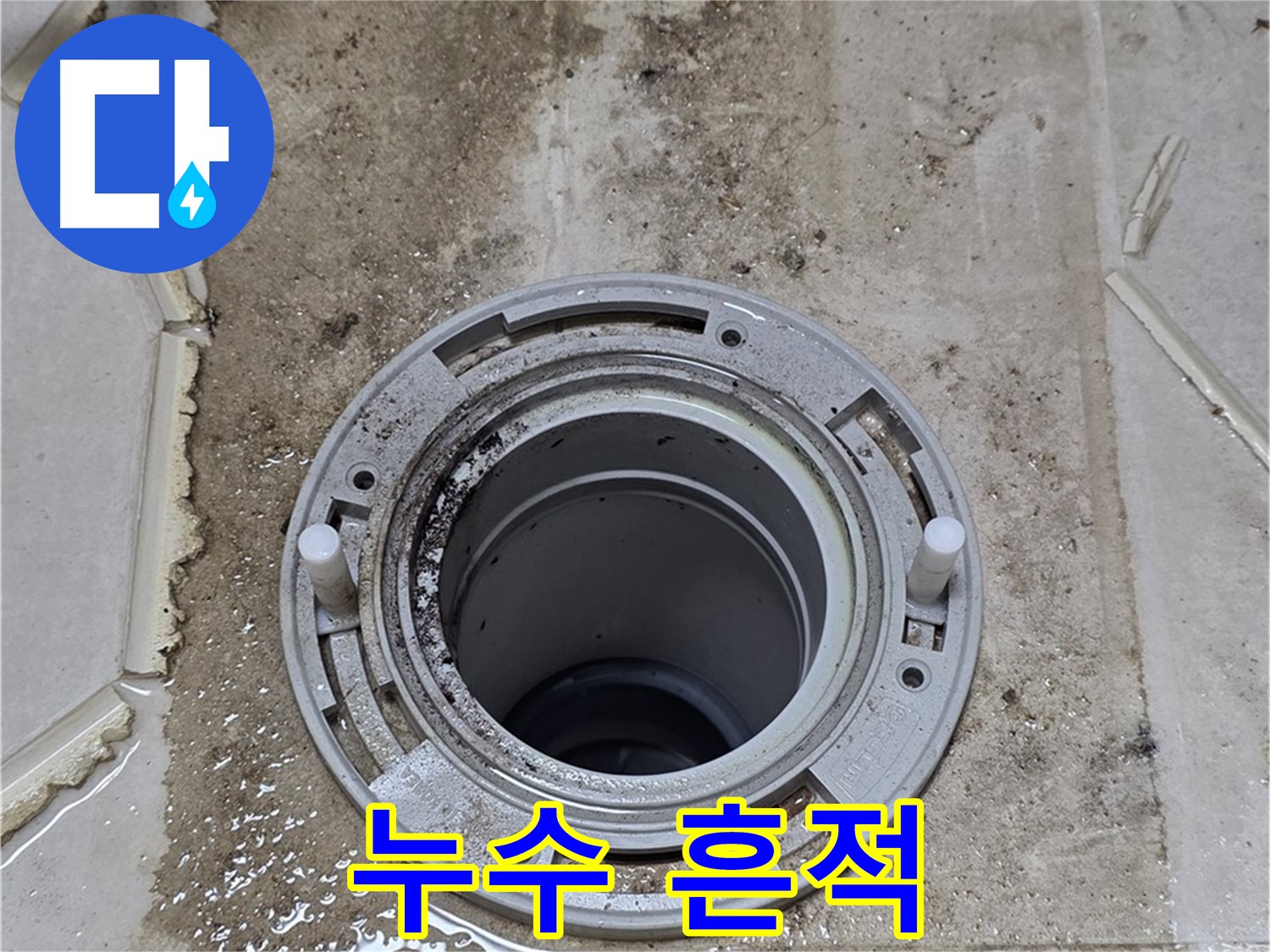 변기 하부 주변 누수 흔적 - 물이 고여있고, 곰팡이가 피어 있습니다.