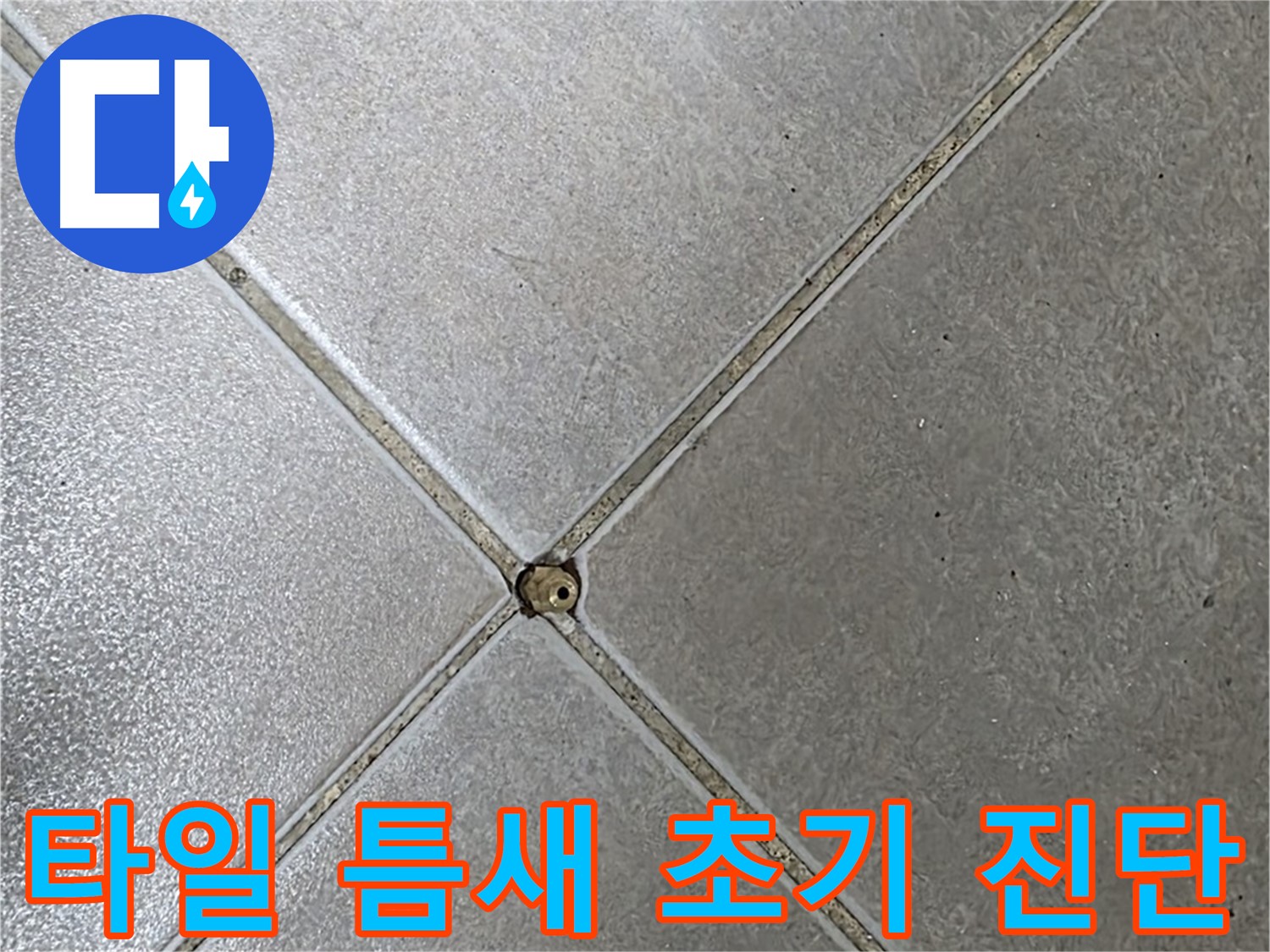 양주 옥정 율정마을 13단지 아파트 타일 틈새 오염 - 초기 진단으로 누수 걱정 이제 끝!