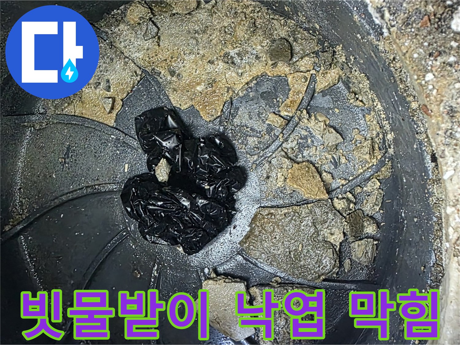 양주 옥정 율정마을 아파트 - 빗물받이를 꽉 막히게 만든 낙엽!