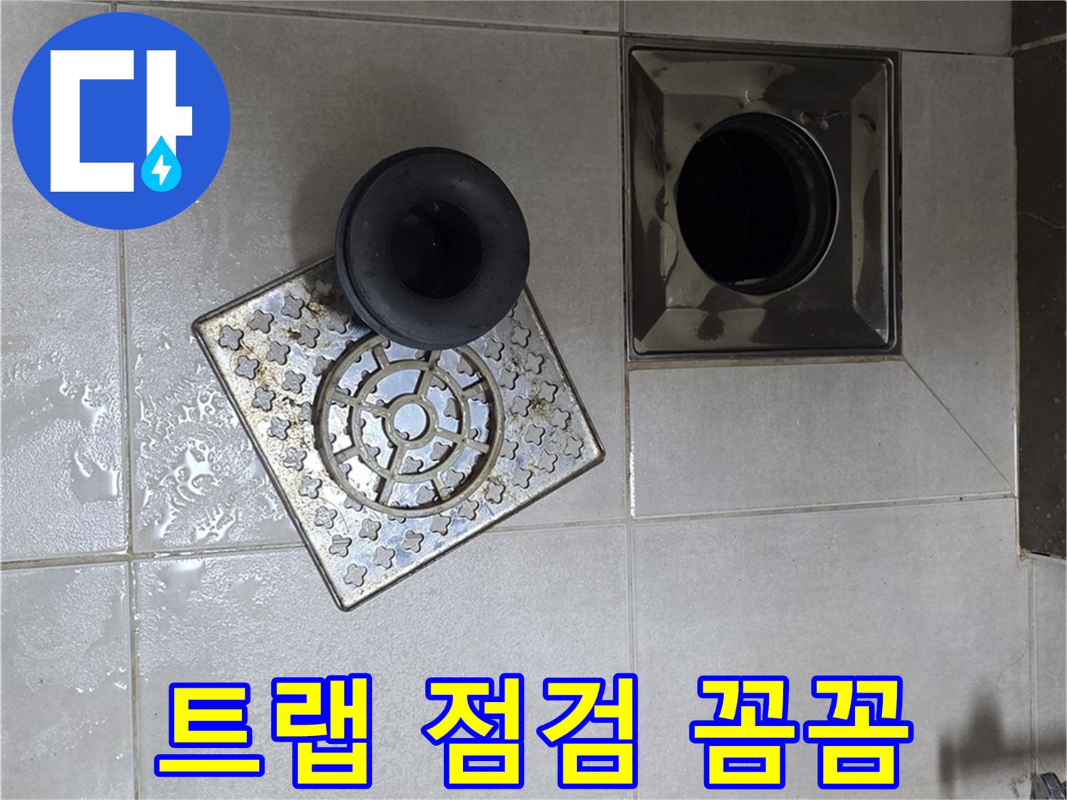 양주 옥정 율정마을 아파트 욕실 누수 해결 - 배수구 트랩 점검으로 문제 해결 시작