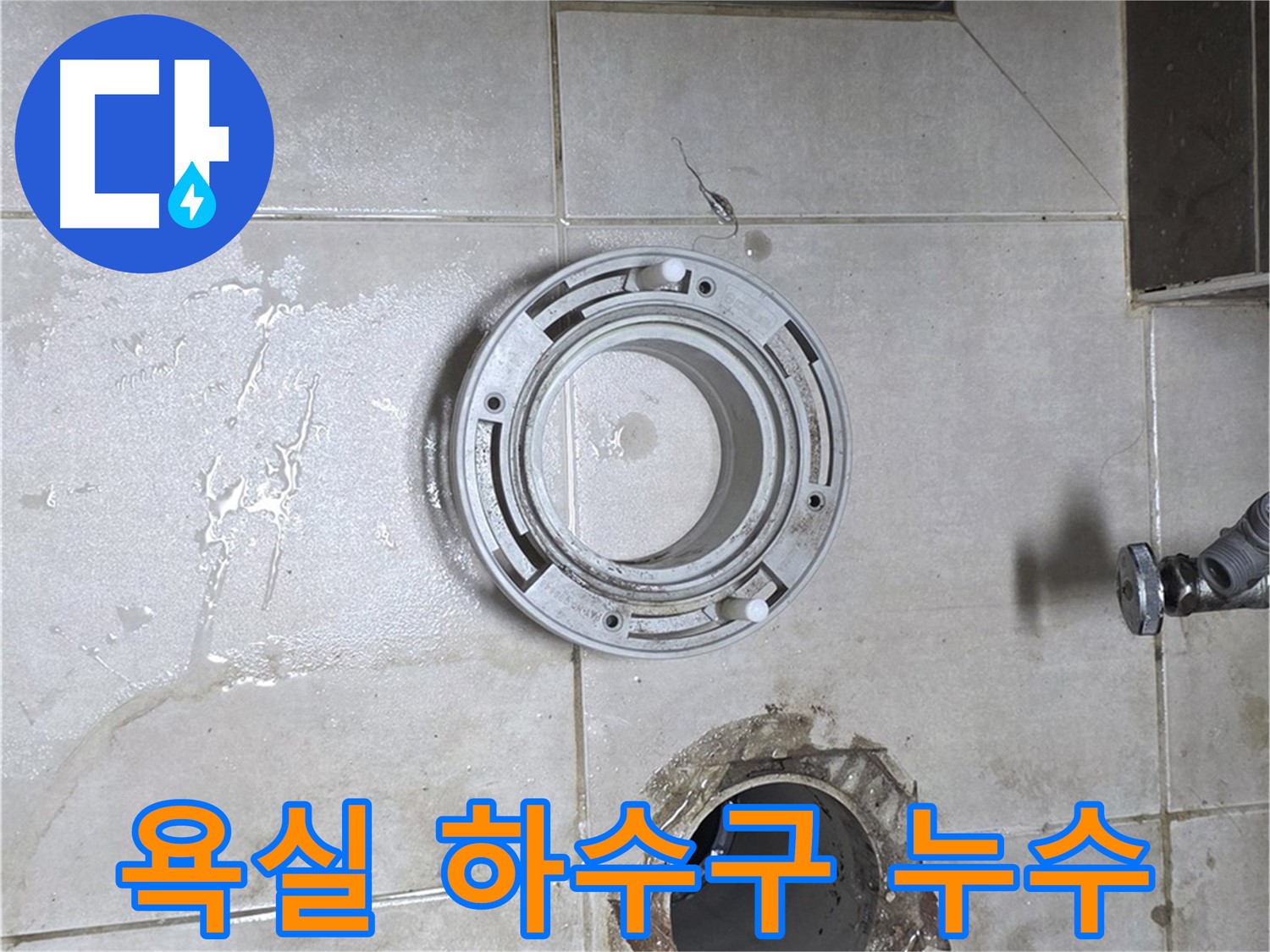 양주 옥정 율정마을 아파트 욕실 하수구 누수 발생 지점 - 누수탐지 전문가의 꼼꼼한 점검