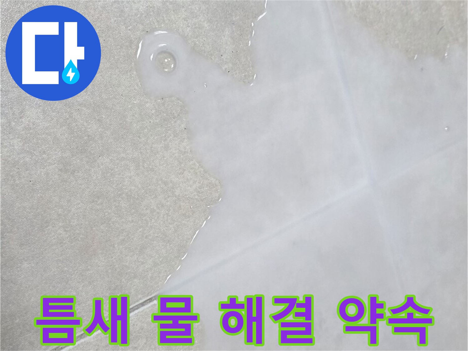 양주 옥정 율정마을 아파트 타일 틈새 물 - 빠른 누수 해결 약속