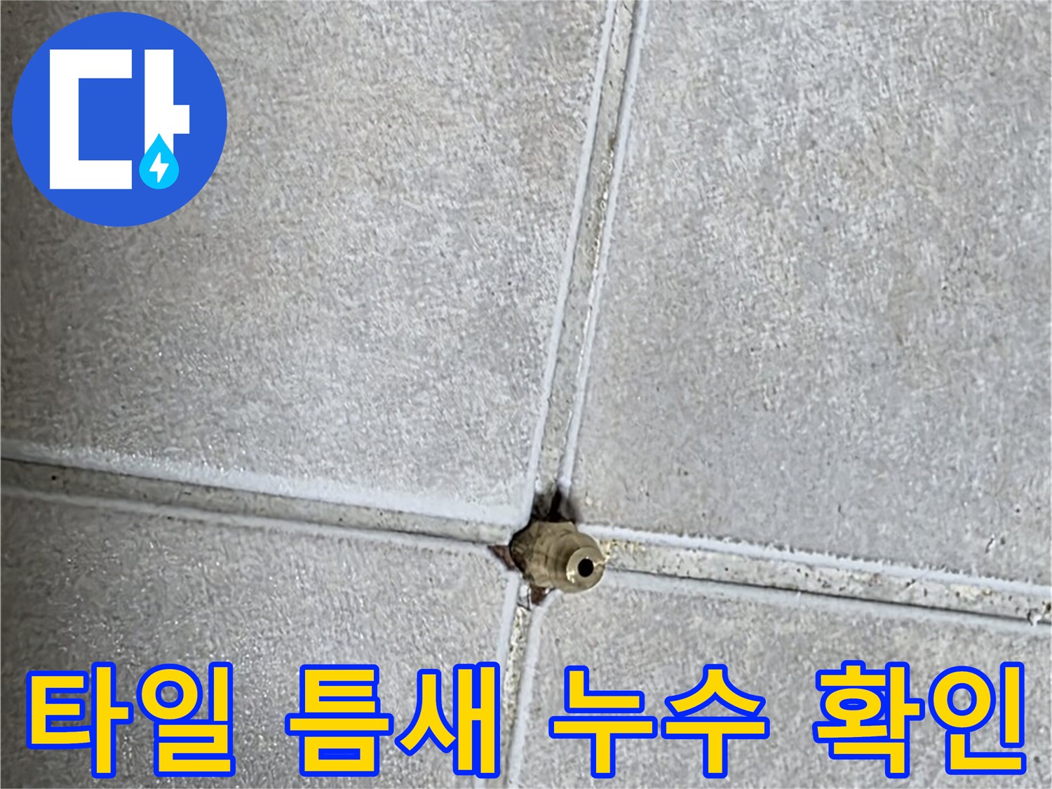 양주 옥정 율정마을 아파트에서 발생한 타일 틈새 누수 - 누수탐지 전문가가 정확하게 진단하고 해결합니다.