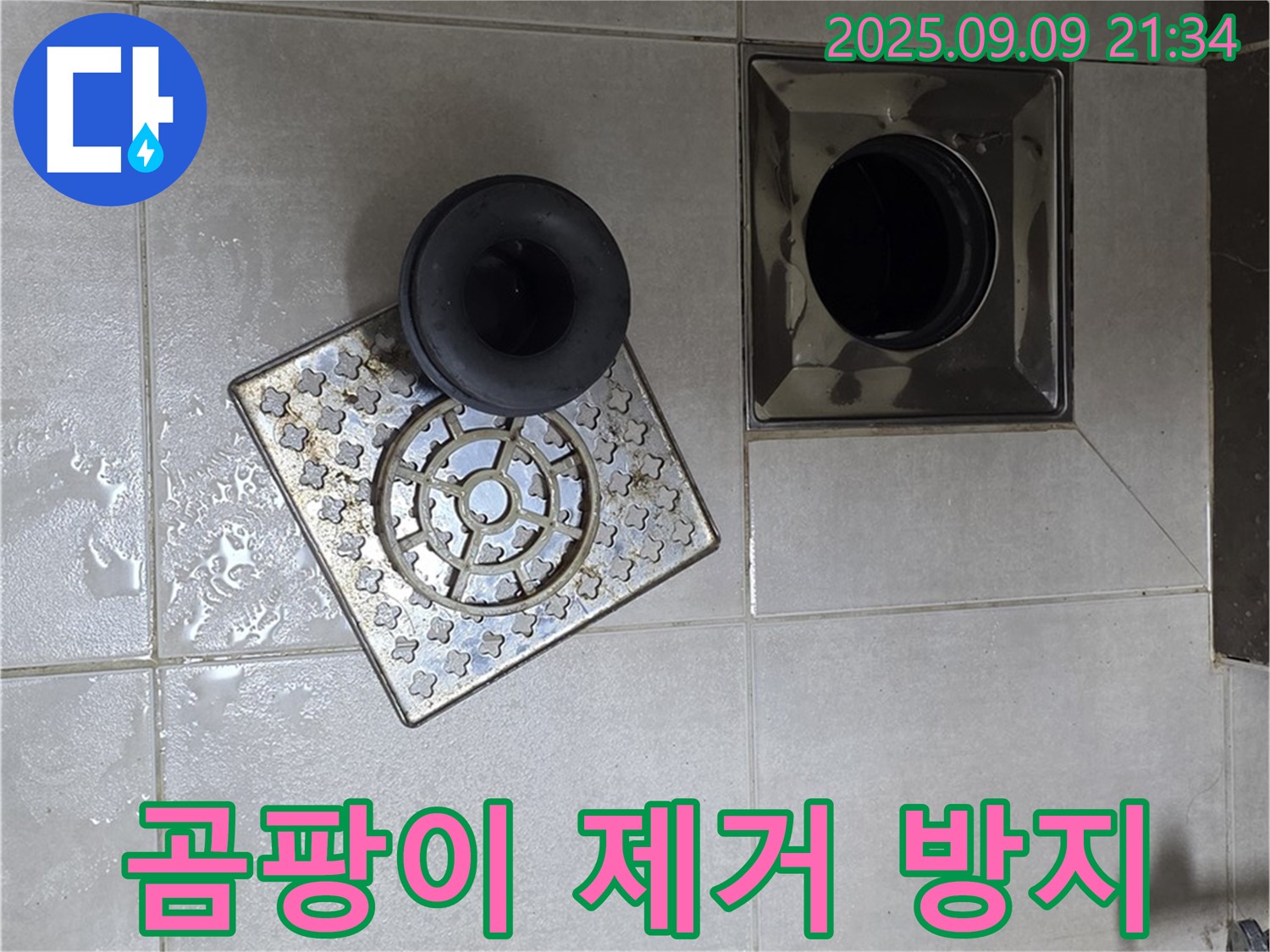 양주 옥정동 누수 - 율정마을13단지 욕실 배수구 주변 곰팡이 집중 제거 및 방지 작업 - 꼼꼼하게 제거하여 쾌적한 환경을 만들어 드립니다.