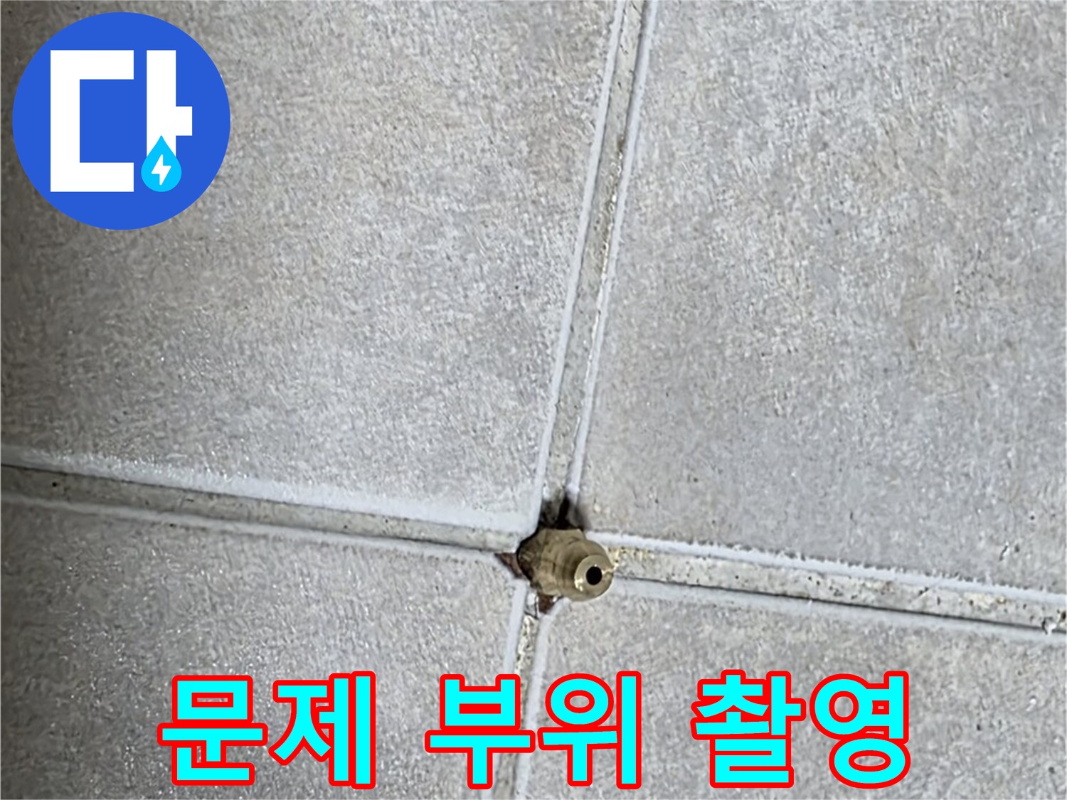 양주 옥정동 율정마을 13단지 아파트 누수 - 누수 탐지 후 문제 부위를 집중적으로 촬영하는 모습입니다.