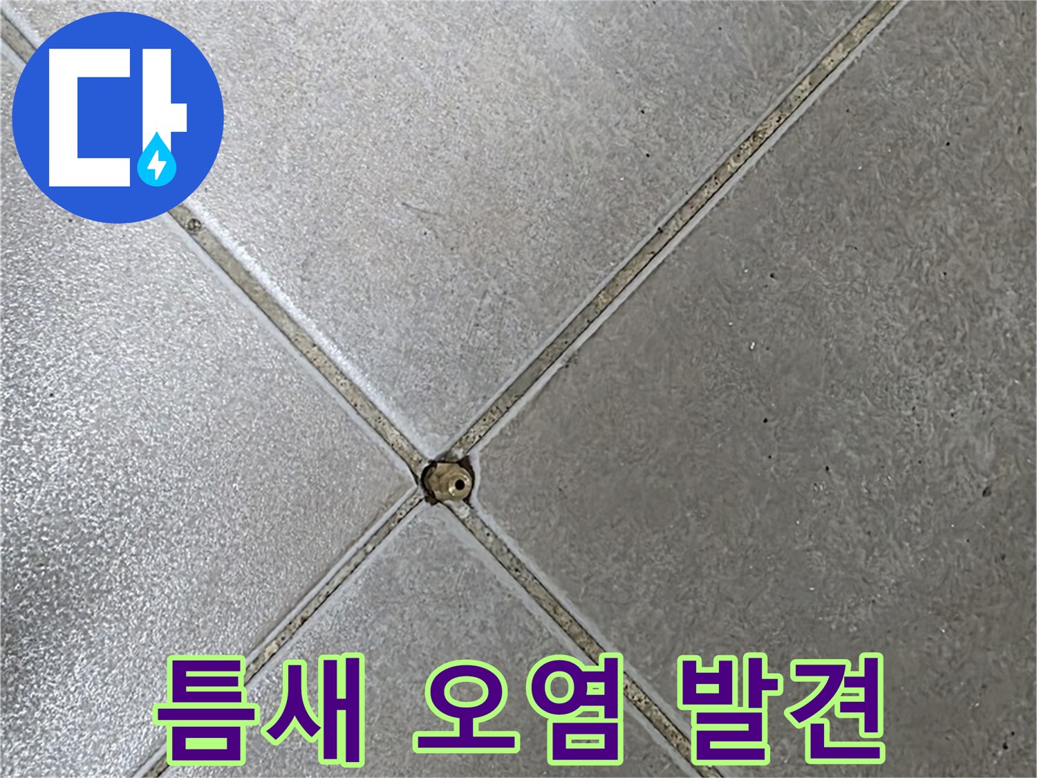 양주 옥정동 율정마을 13단지 아파트 타일 틈새 오염 - 초기 발견 사진입니다.