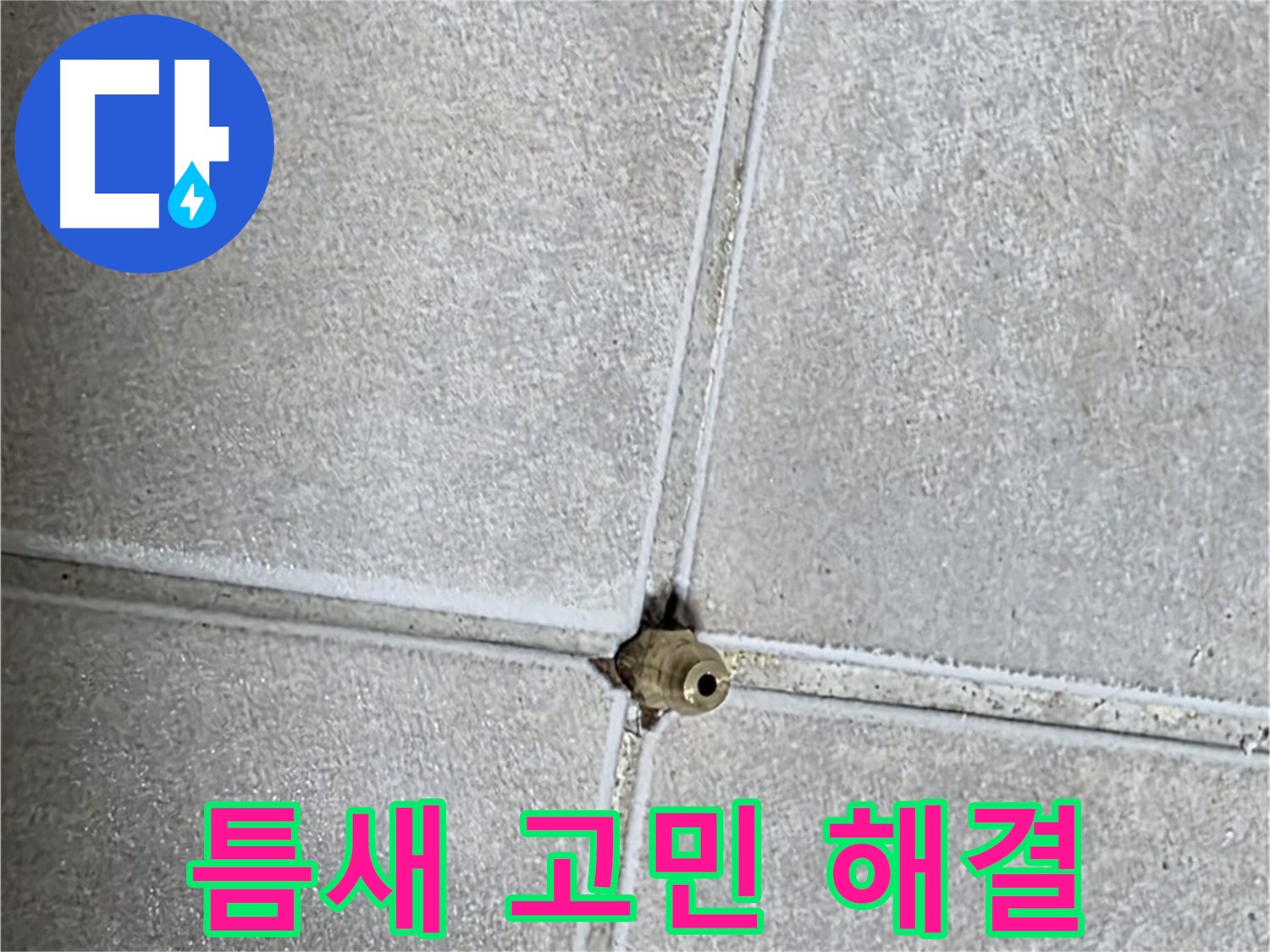 양주 옥정동 율정마을 아파트 누수 - 타일 틈새 구멍으로 인한 누수 문제, 더 이상 고민하지 마세요!