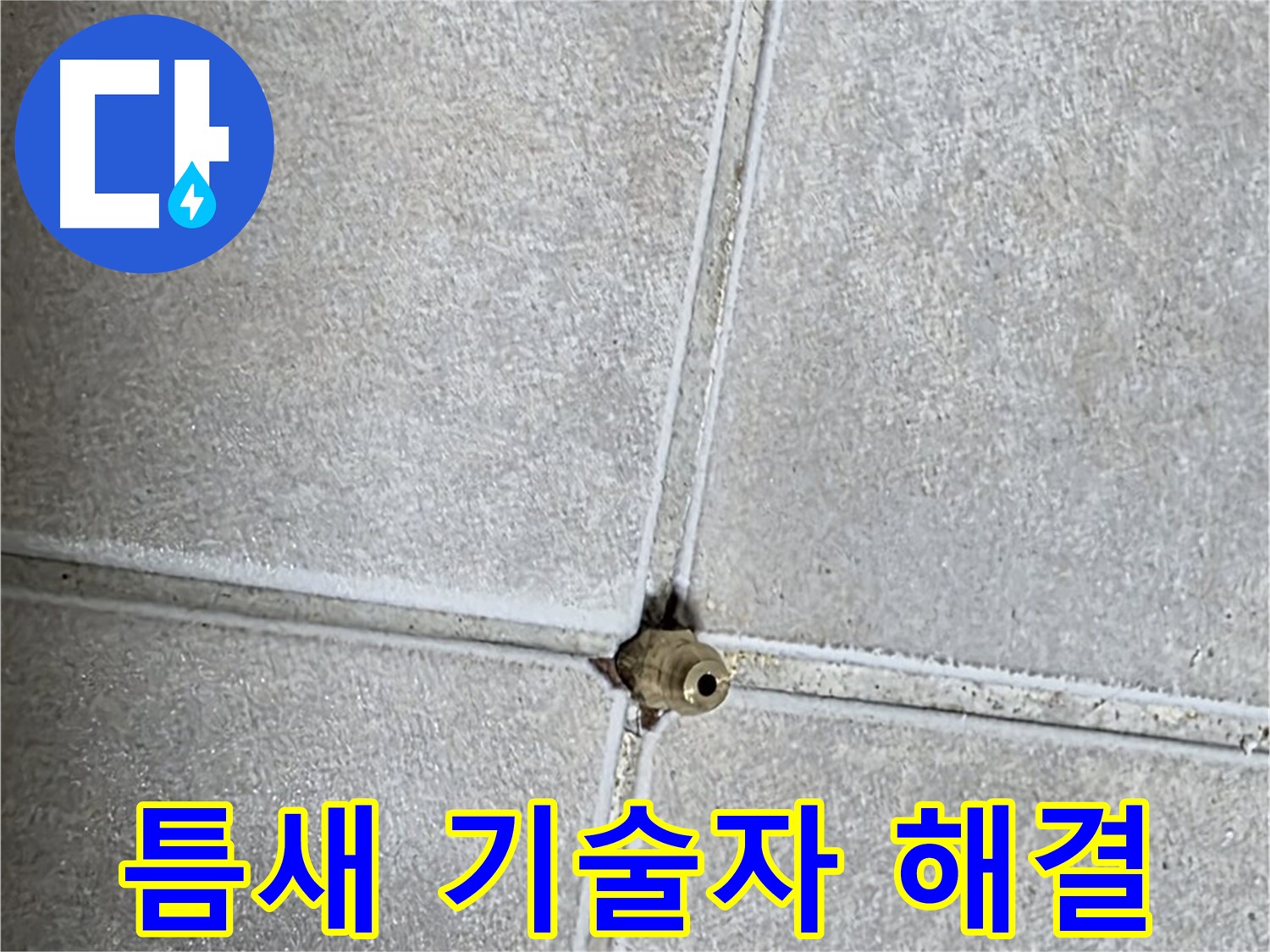 양주 옥정동 율정마을 아파트 누수 - 타일 틈새 누수, 베테랑 기술자의 손길로 말끔하게 해결해 드립니다.