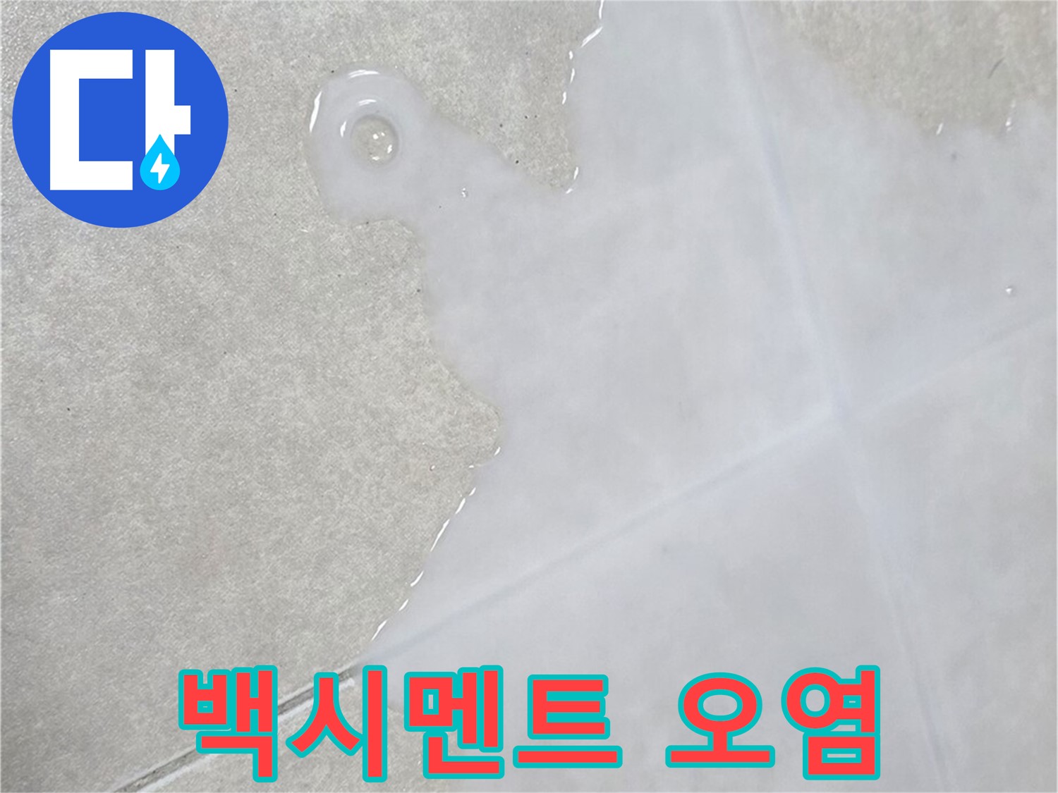 양주 옥정동 율정마을 아파트 타일 틈새 백시멘트 오염 - 누수 의심 진단