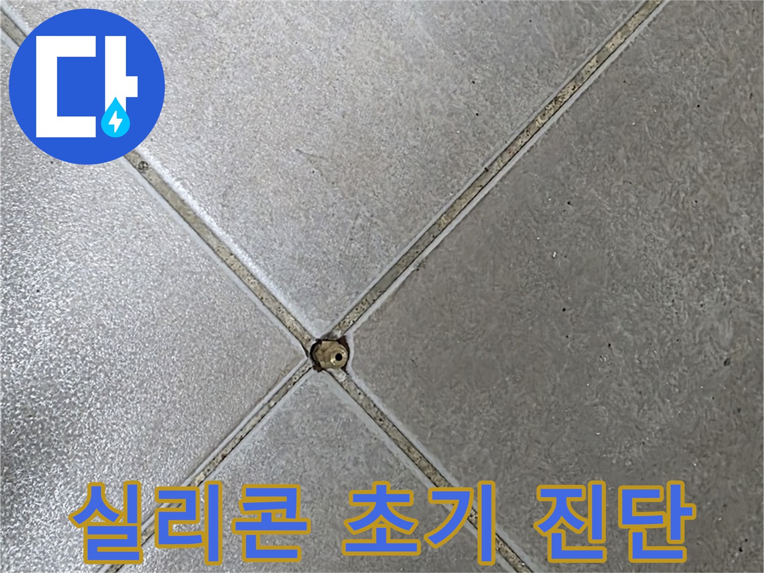 양주시 옥정동 율정마을 13단지 아파트 타일 틈새 실리콘 - 전문가의 초기 진단 모습입니다.